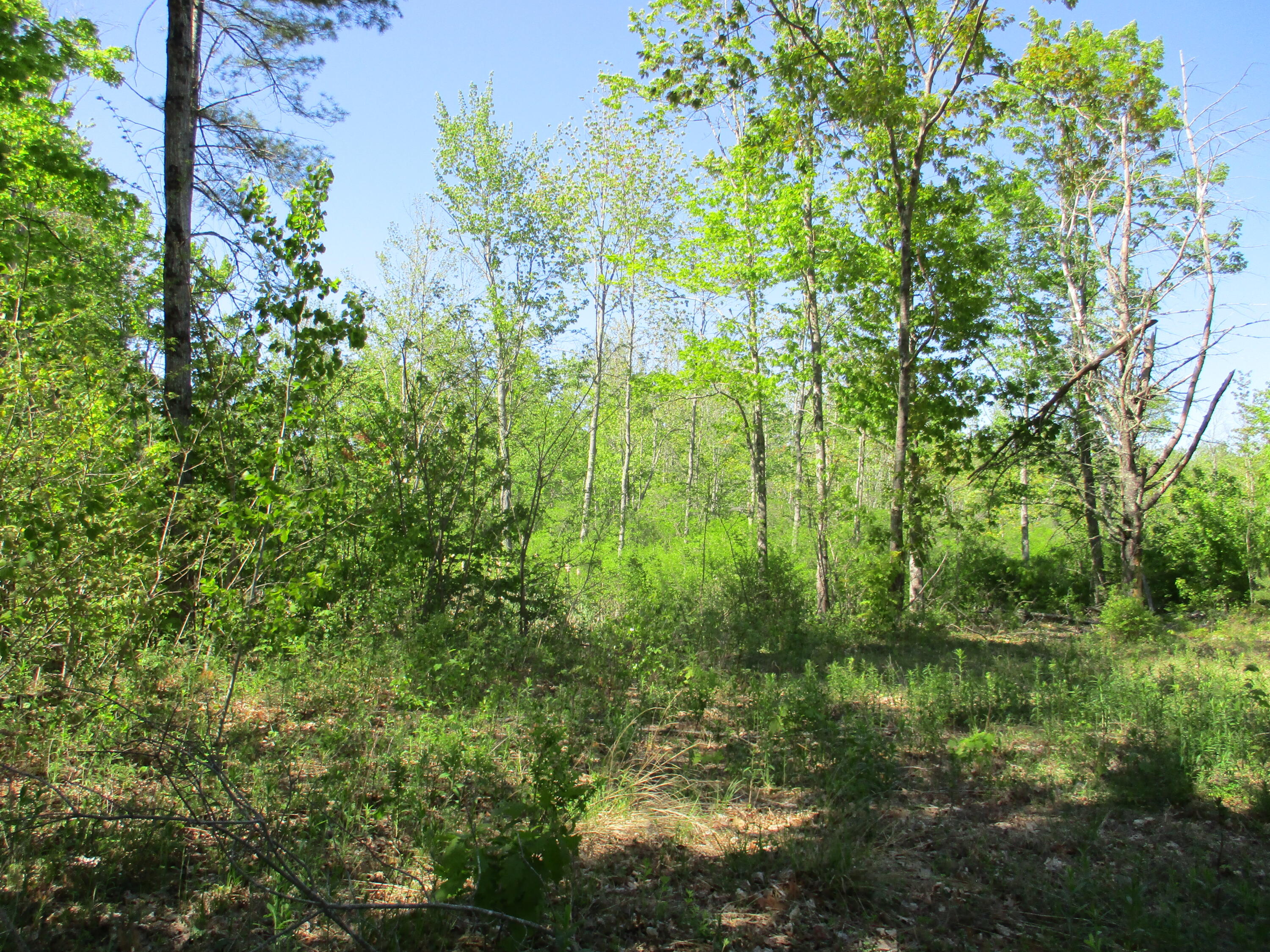 1641 Washington Road Waldoboro ME 04572