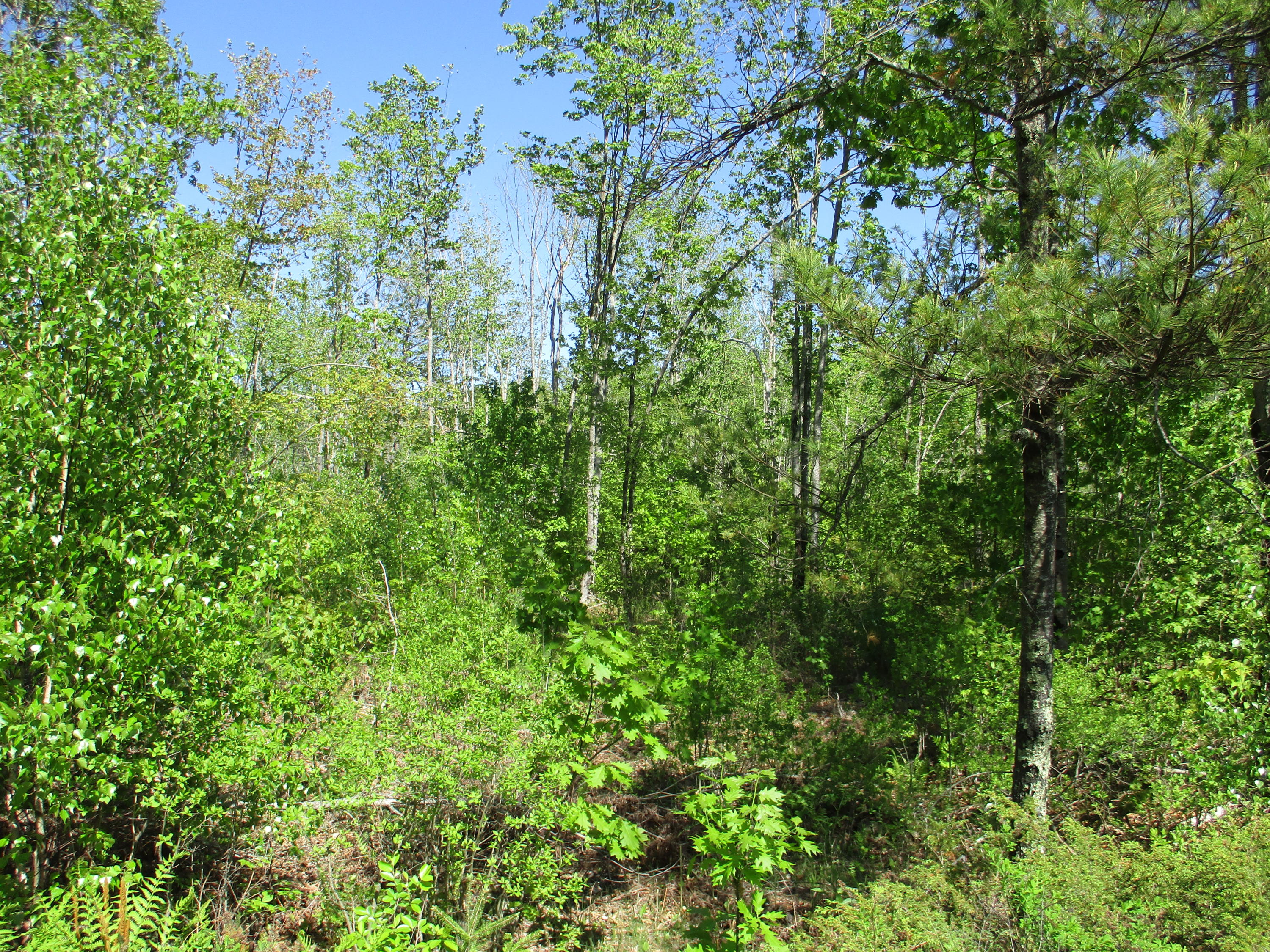 1641 Washington Road Waldoboro ME 04572