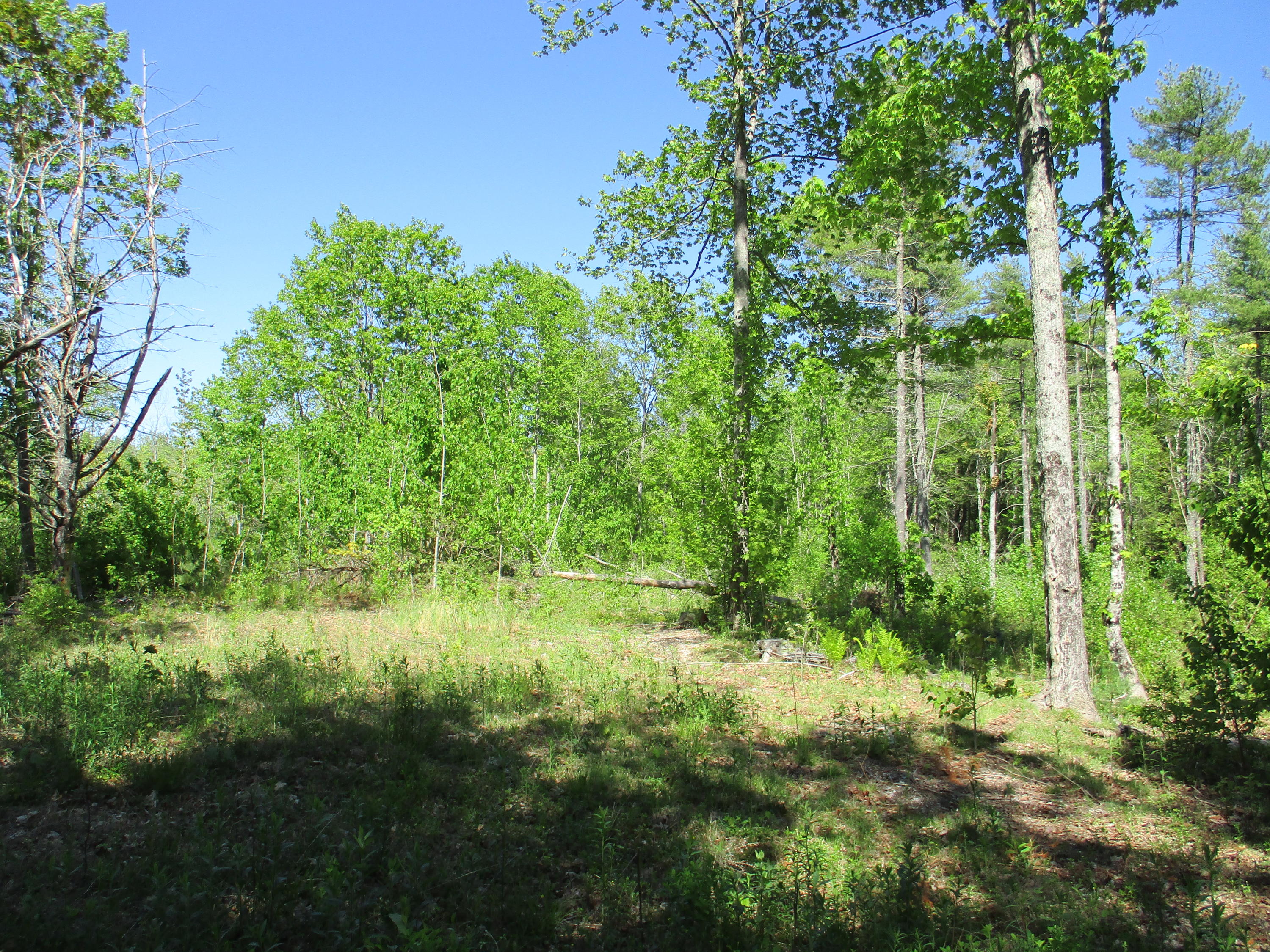 1641 Washington Road Waldoboro ME 04572
