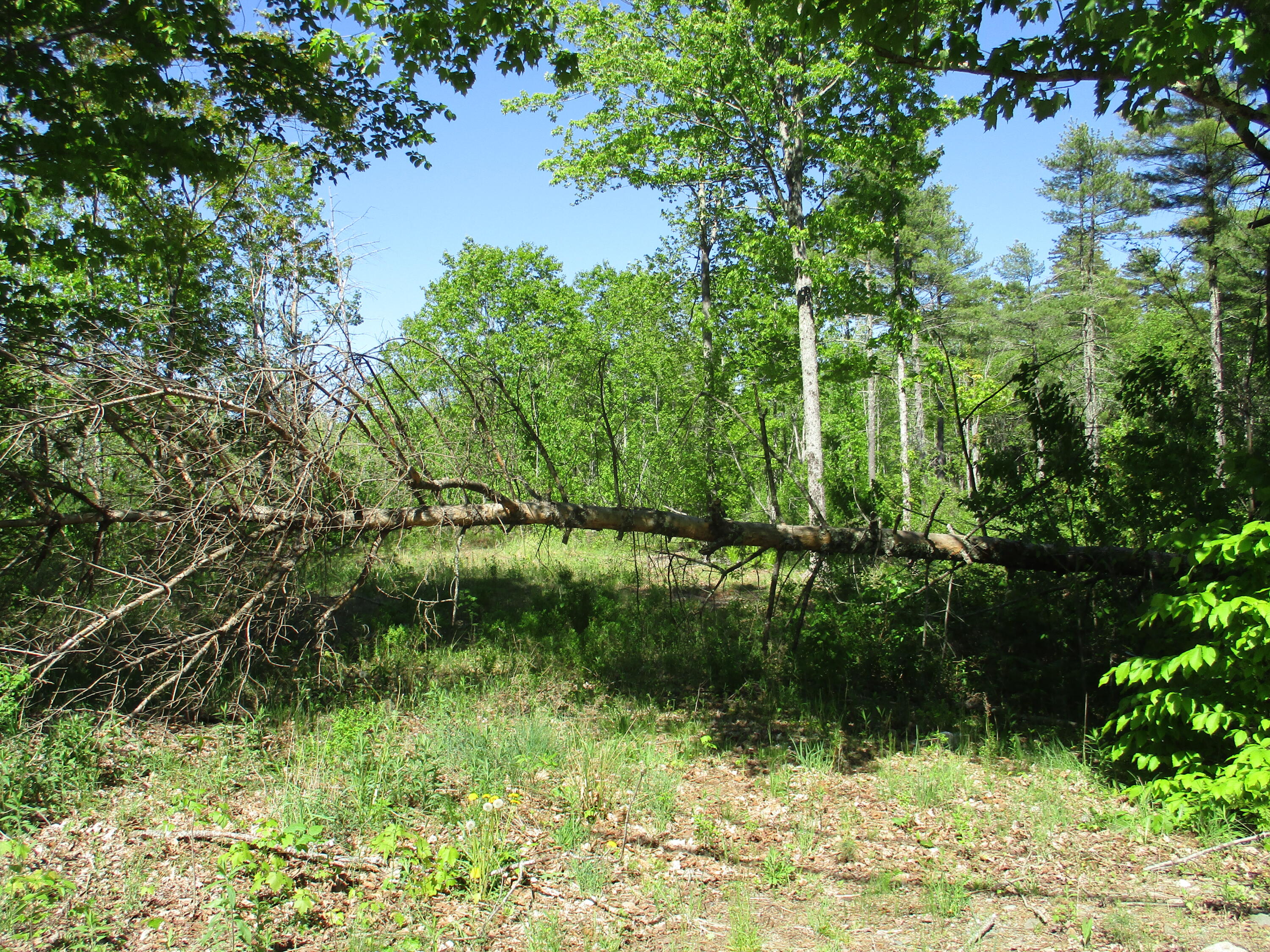 1641 Washington Road Waldoboro ME 04572