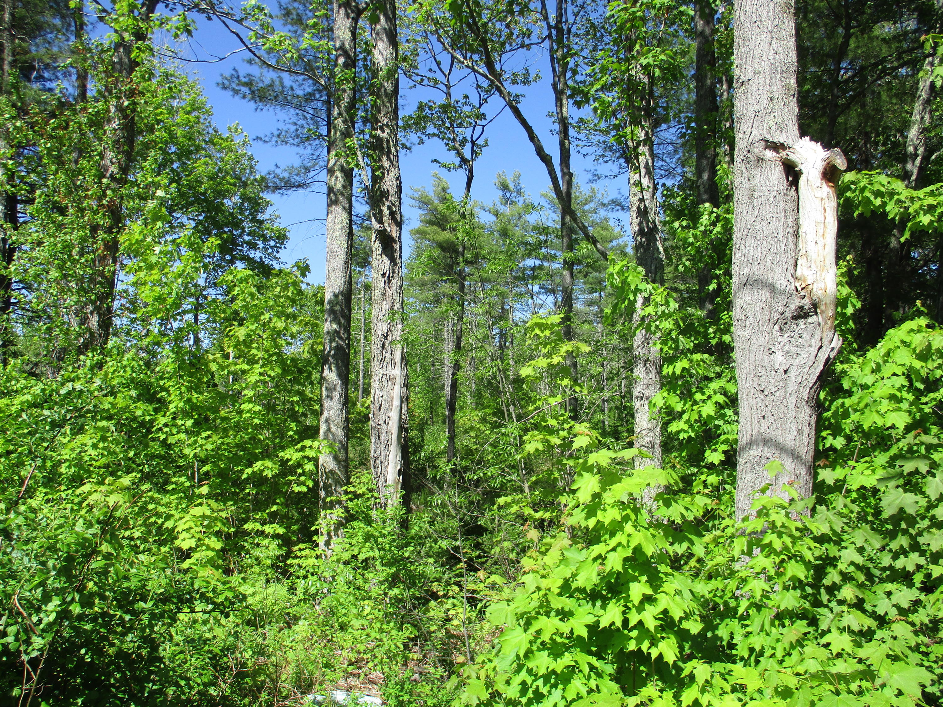 1641 Washington Road Waldoboro ME 04572