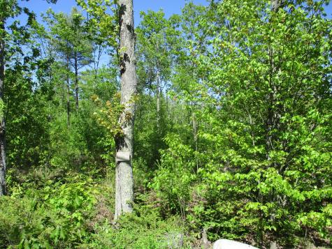 1641 Washington Road Waldoboro ME 04572