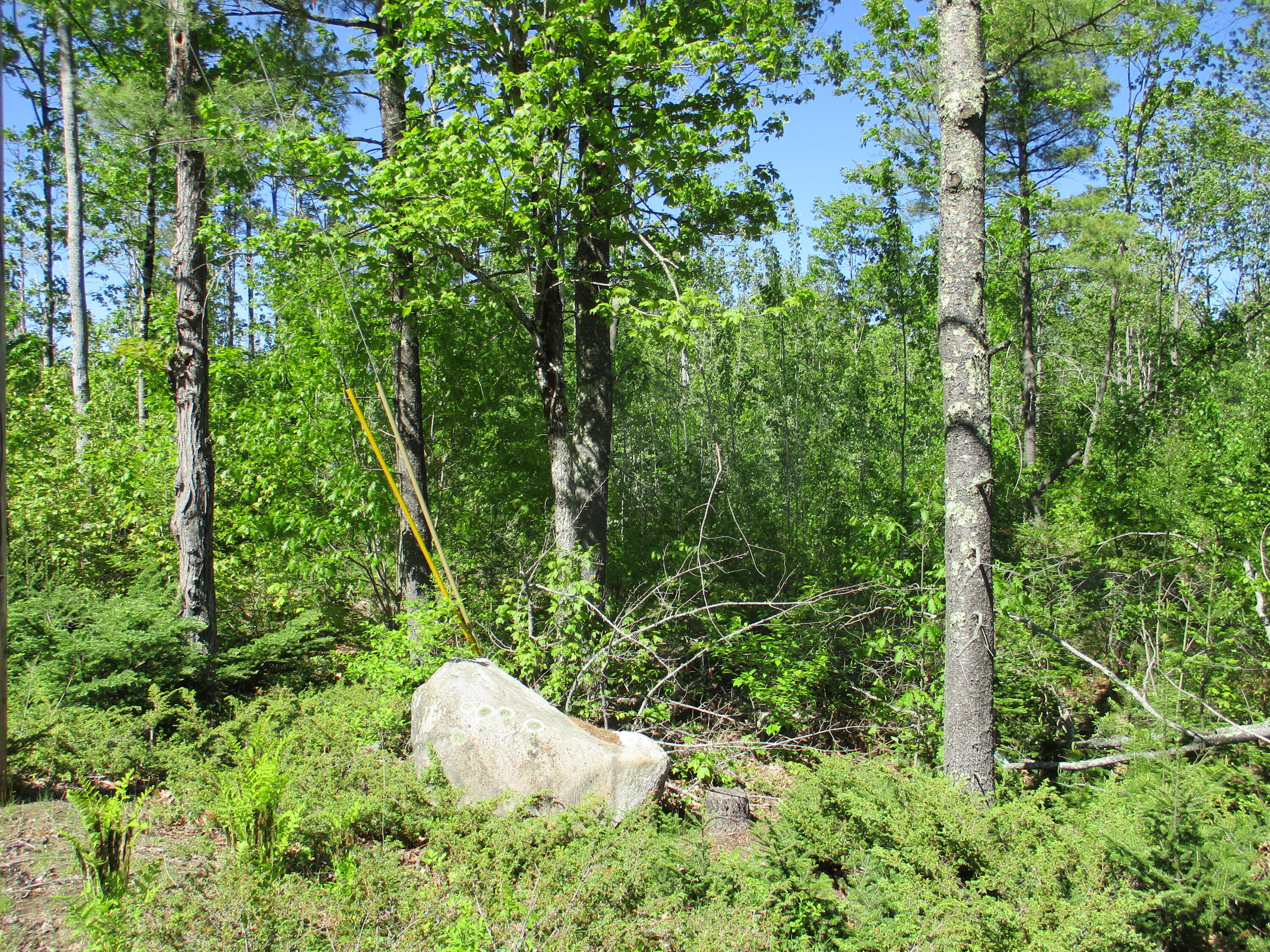 1641 Washington Road Waldoboro ME 04572