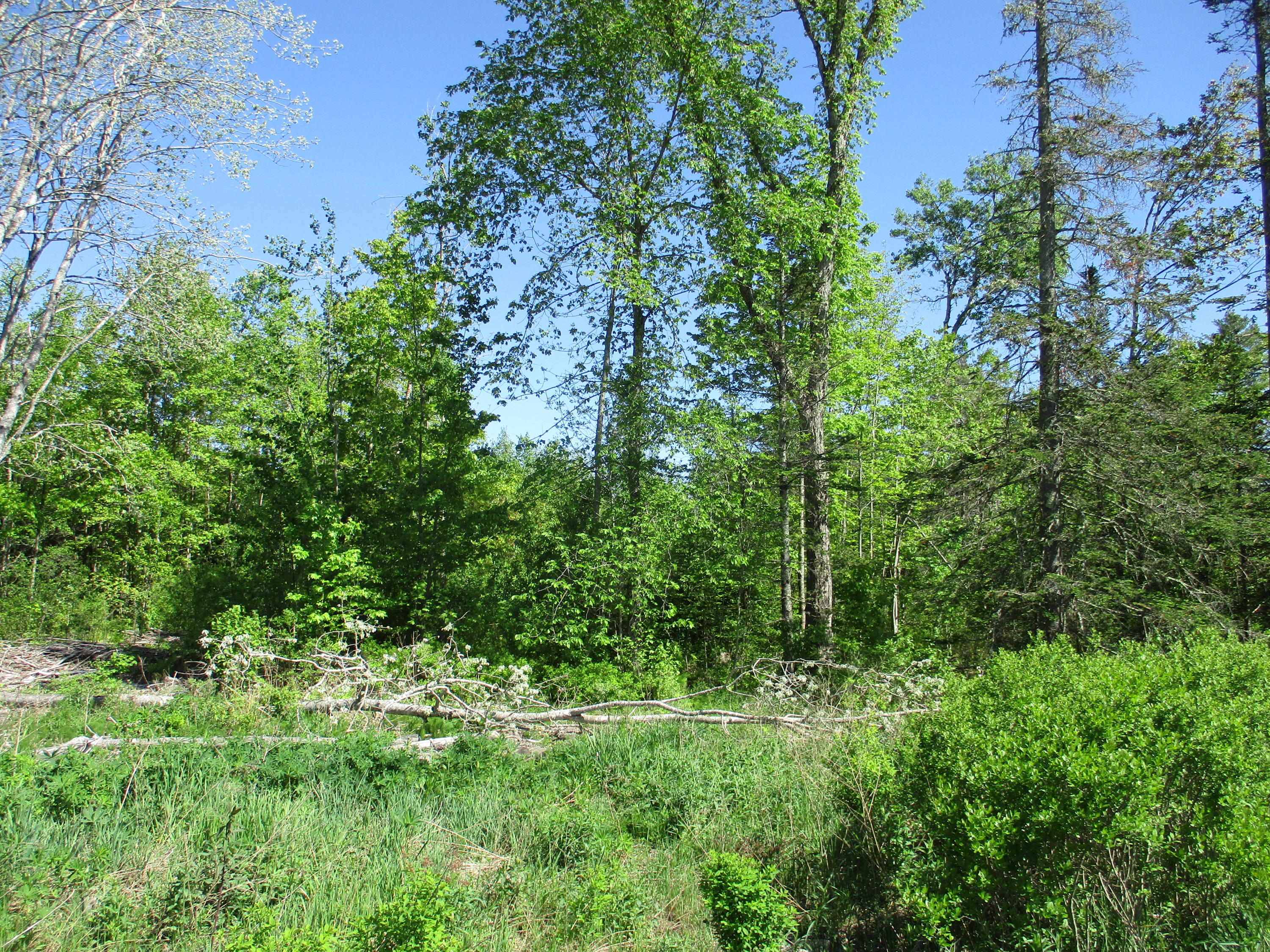 1641 Washington Road Waldoboro ME 04572