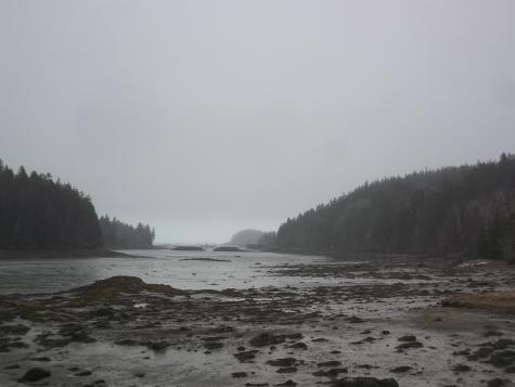 142 Destiny Bay Road Cutler ME 04626