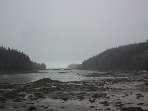 142 Destiny Bay Road Cutler ME 04626