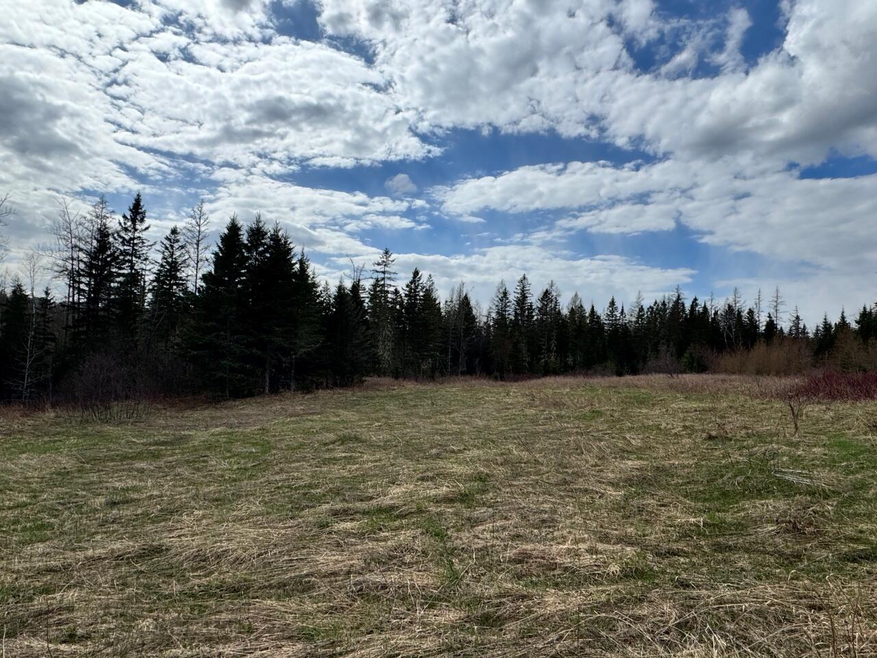 Lot 2a N North Perley Brook Road Fort Kent ME 04743