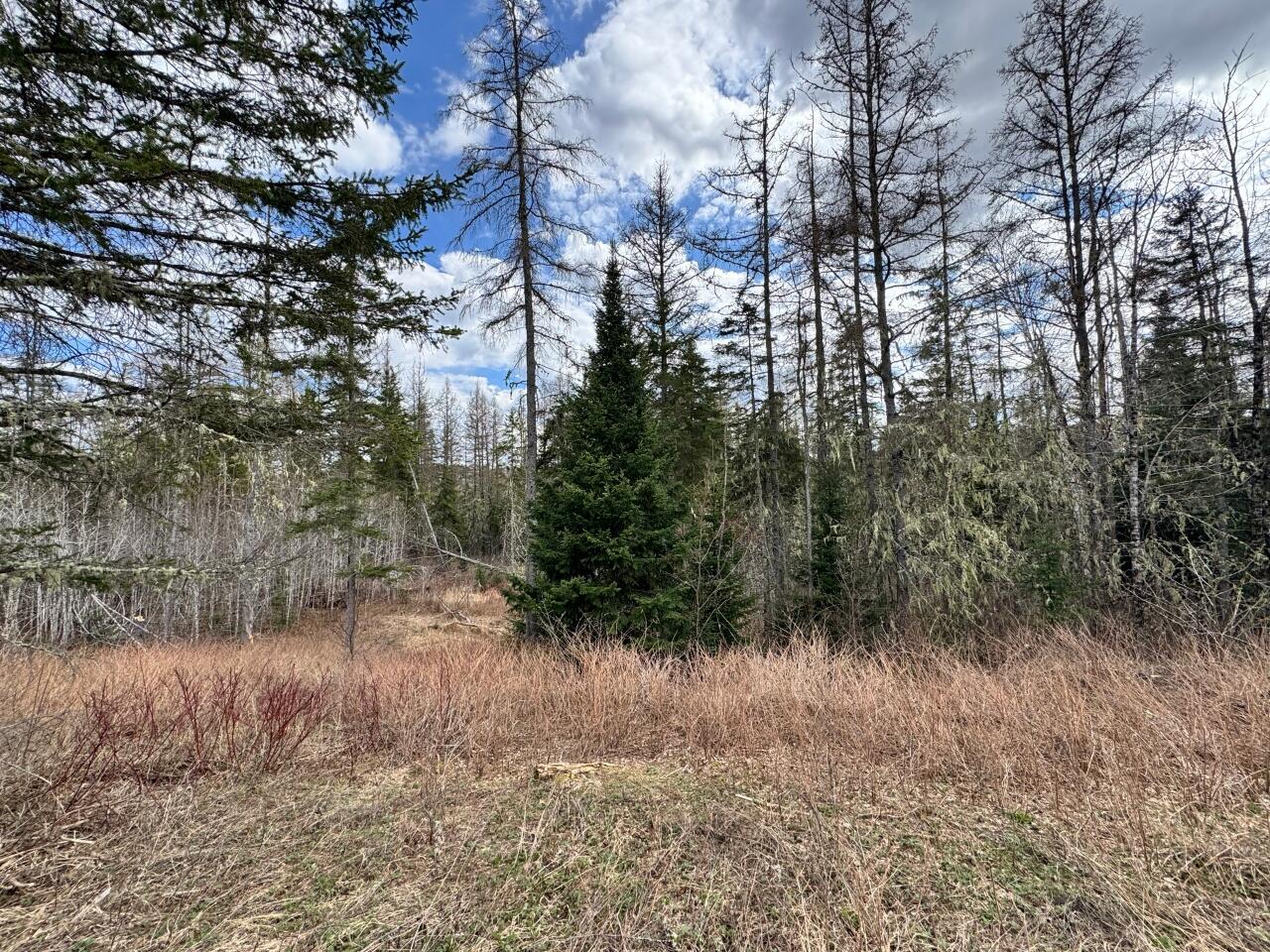 Lot 2a N North Perley Brook Road Fort Kent ME 04743