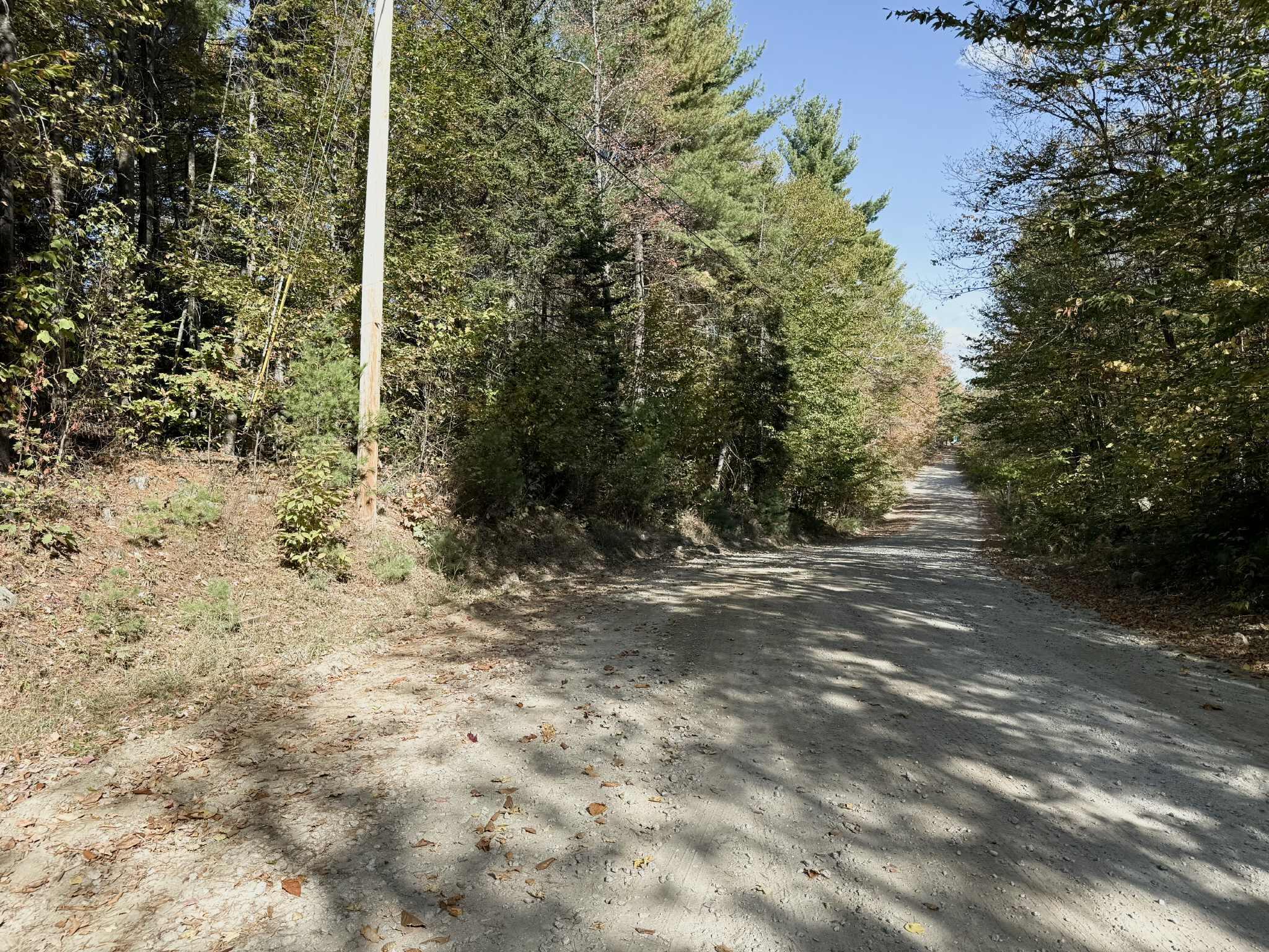 M19 L6-6 Tuell Hill Road Sumner ME 04292