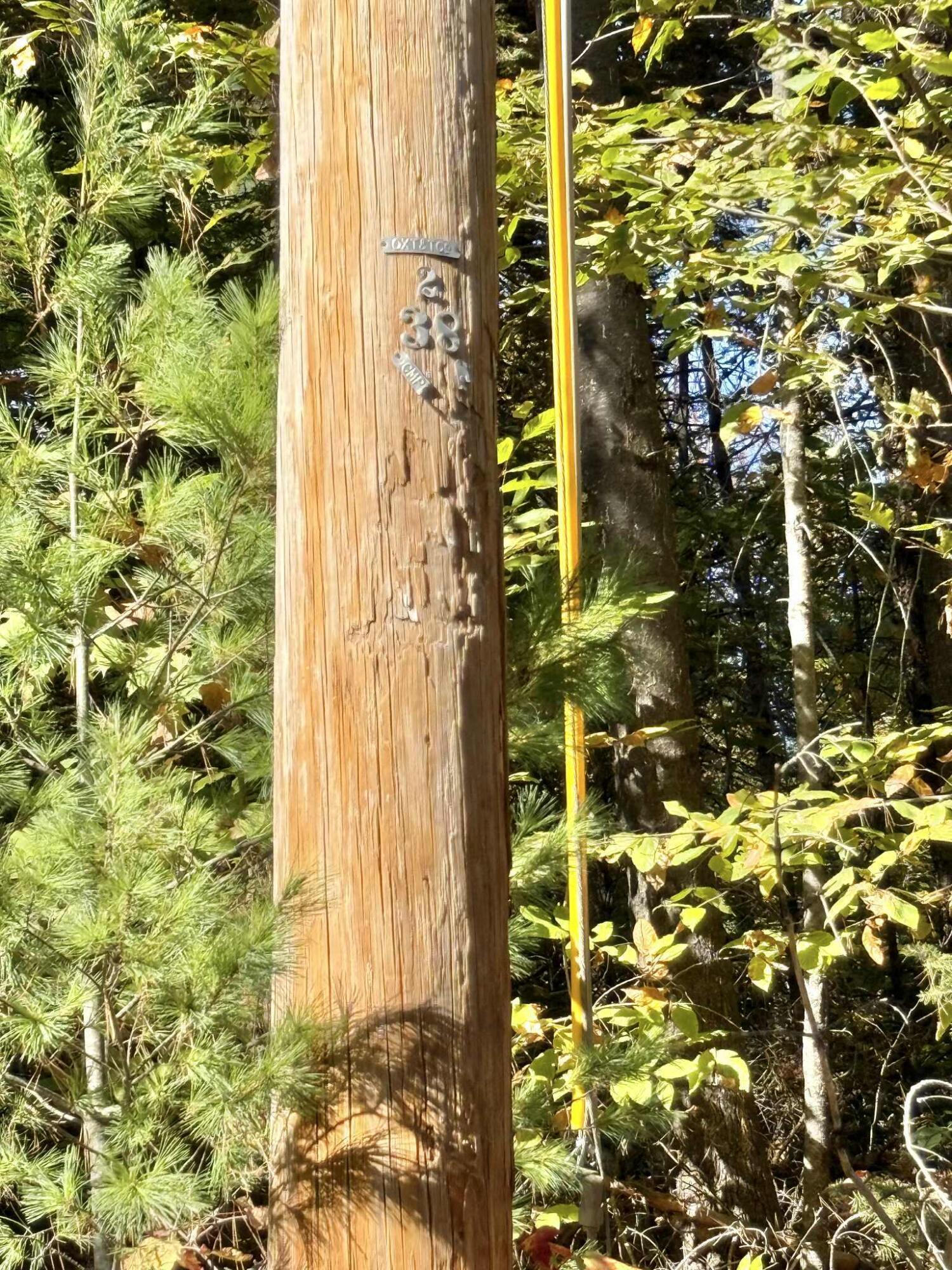 M19 L6-6 Tuell Hill Road Sumner ME 04292