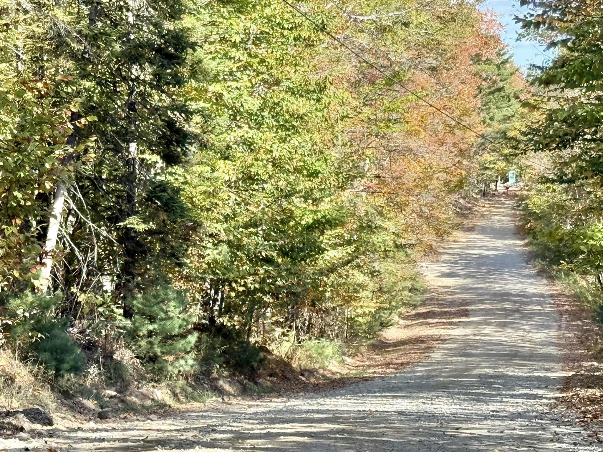 M19 L6-6 Tuell Hill Road Sumner ME 04292