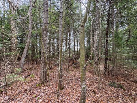 Lot 25 Woodland Ridge Road Danforth ME 04424