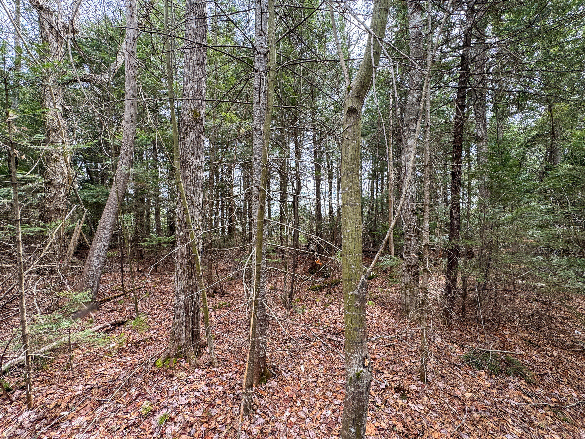 Lot 25 Woodland Ridge Road Danforth ME 04424