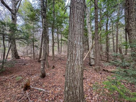 Lot 25 Woodland Ridge Road Danforth ME 04424