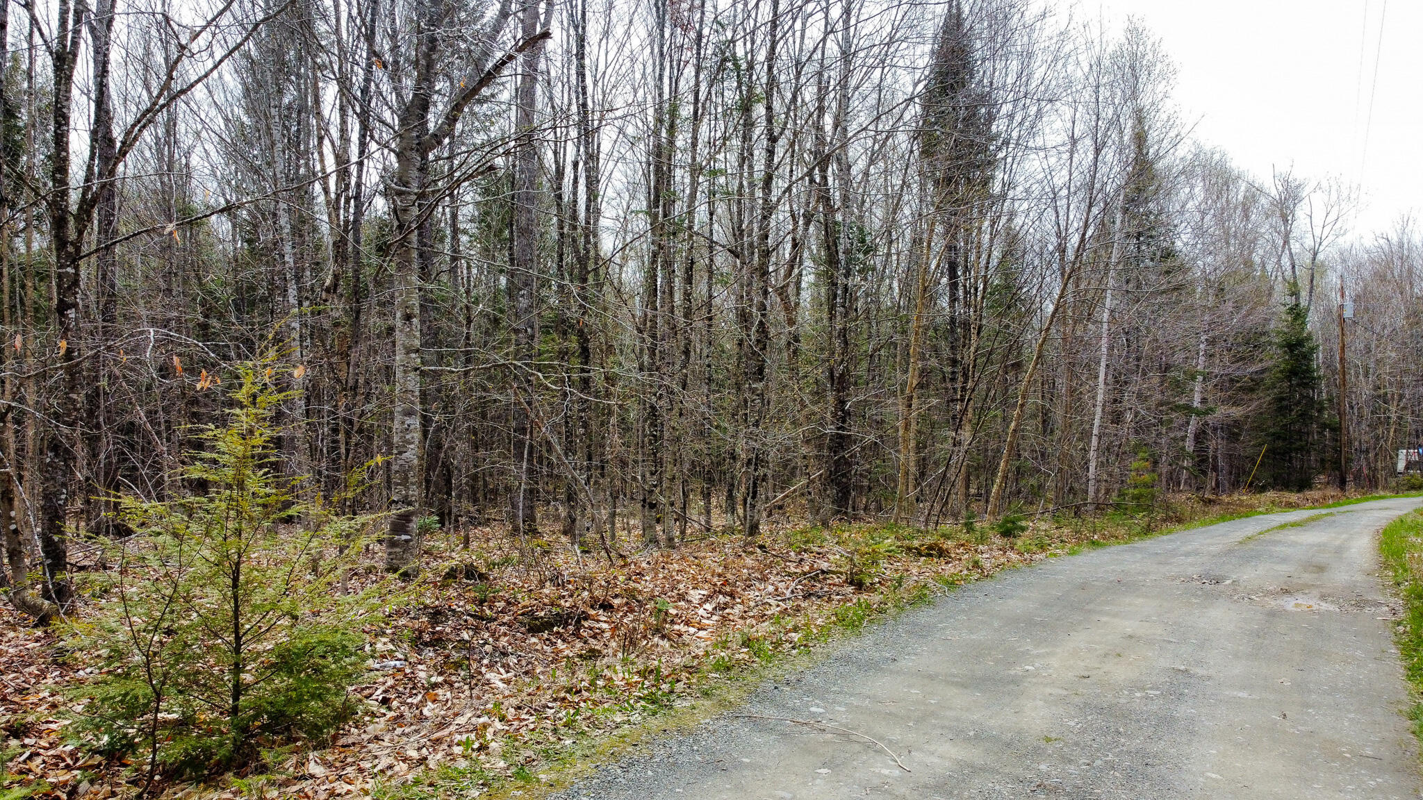 Lot 25 Woodland Ridge Road Danforth ME 04424