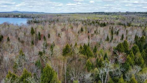 Lot 25 Woodland Ridge Road Danforth ME 04424