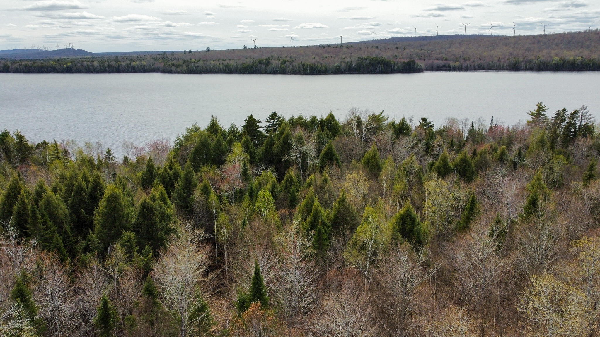 Lot 25 Woodland Ridge Road Danforth ME 04424