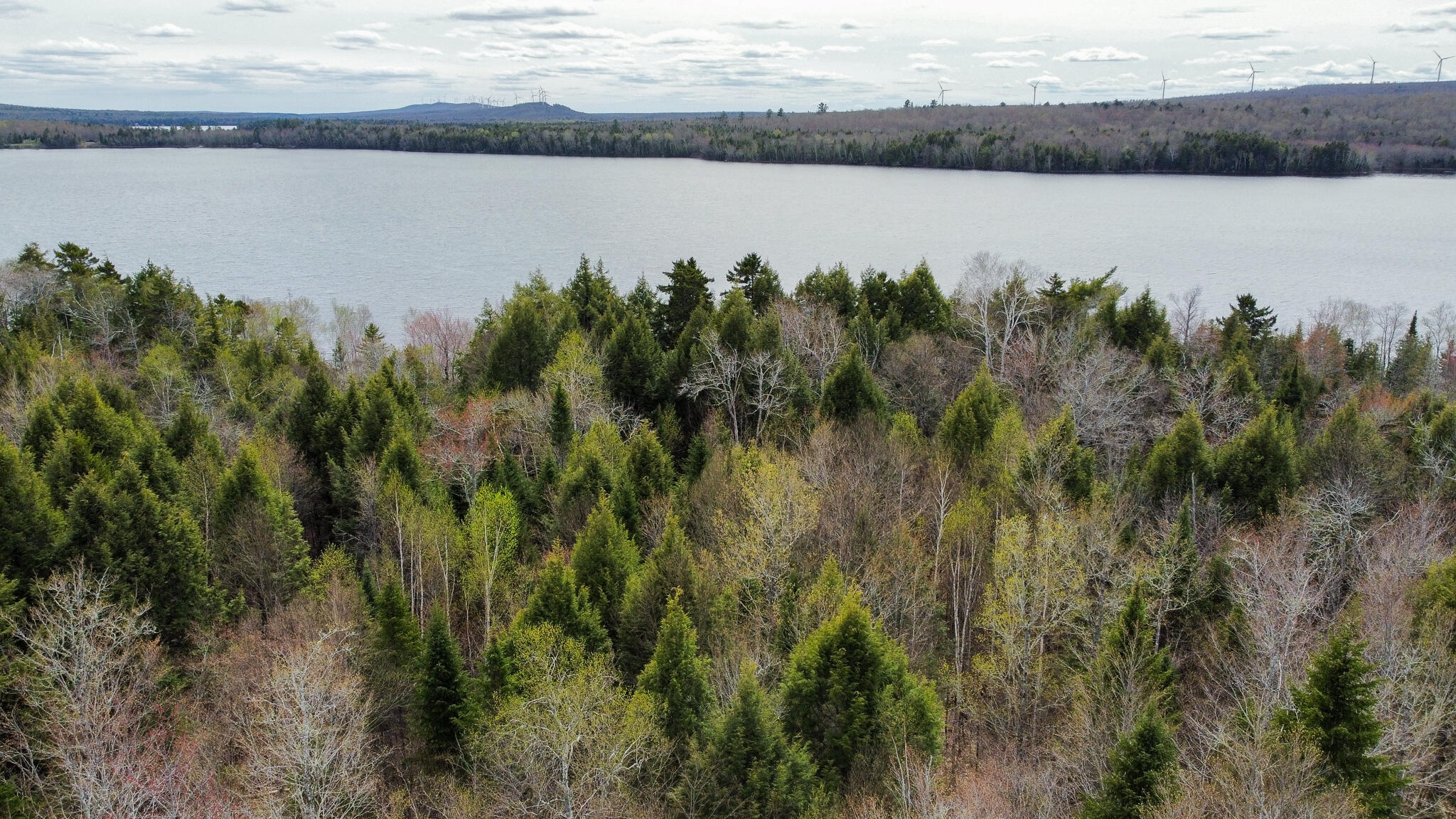 Lot 25 Woodland Ridge Road Danforth ME 04424