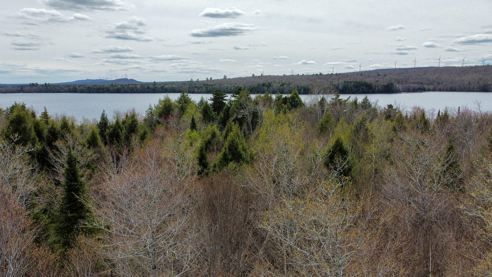 Lot 25 Woodland Ridge Road Danforth ME 04424