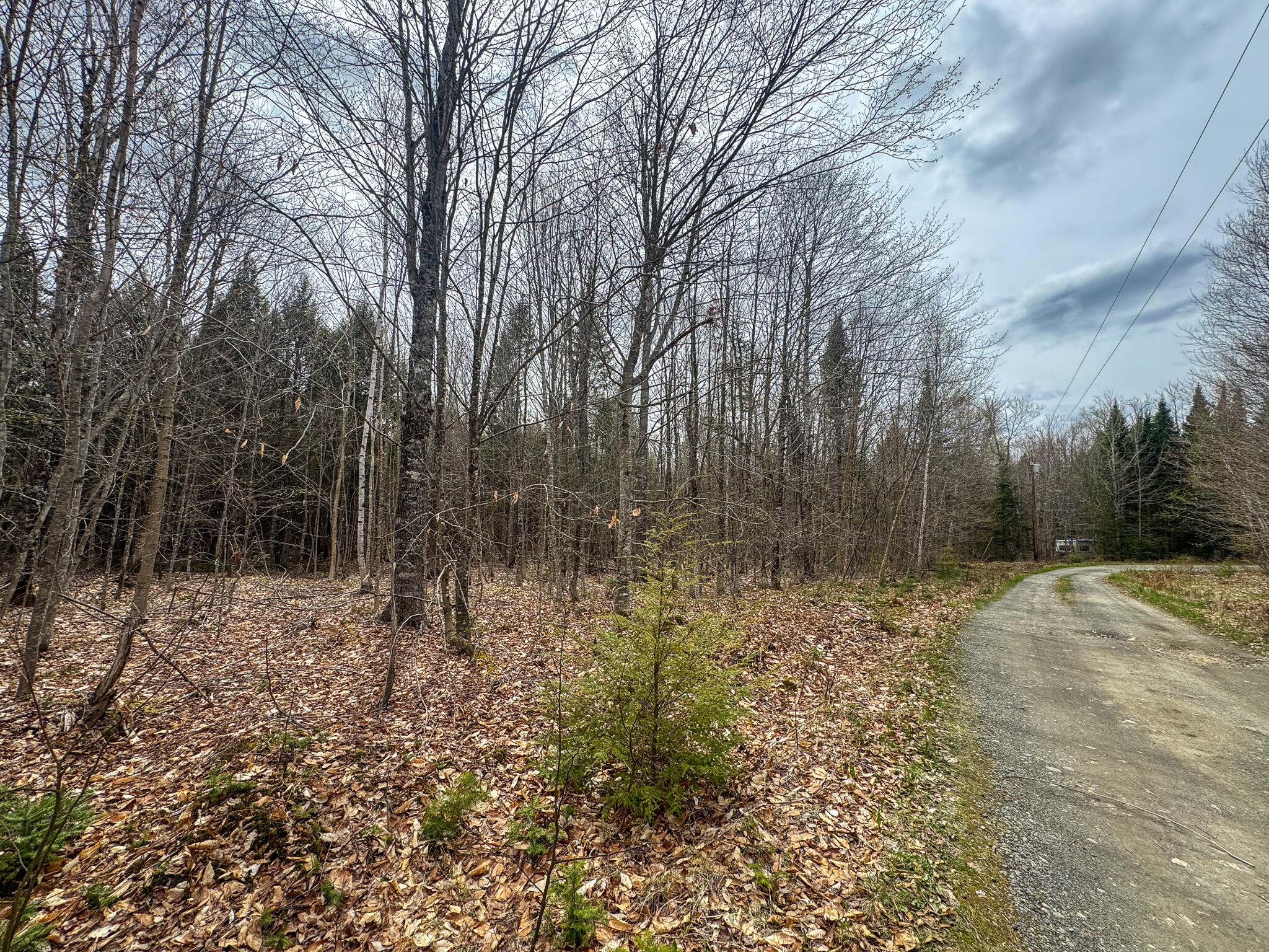 Lot 25 Woodland Ridge Road Danforth ME 04424