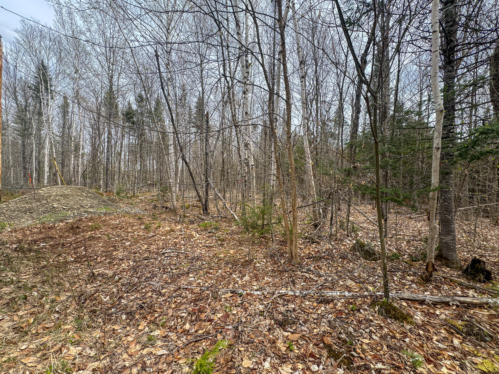 Lot 25 Woodland Ridge Road Danforth ME 04424
