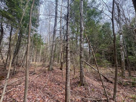Lot 25 Woodland Ridge Road Danforth ME 04424