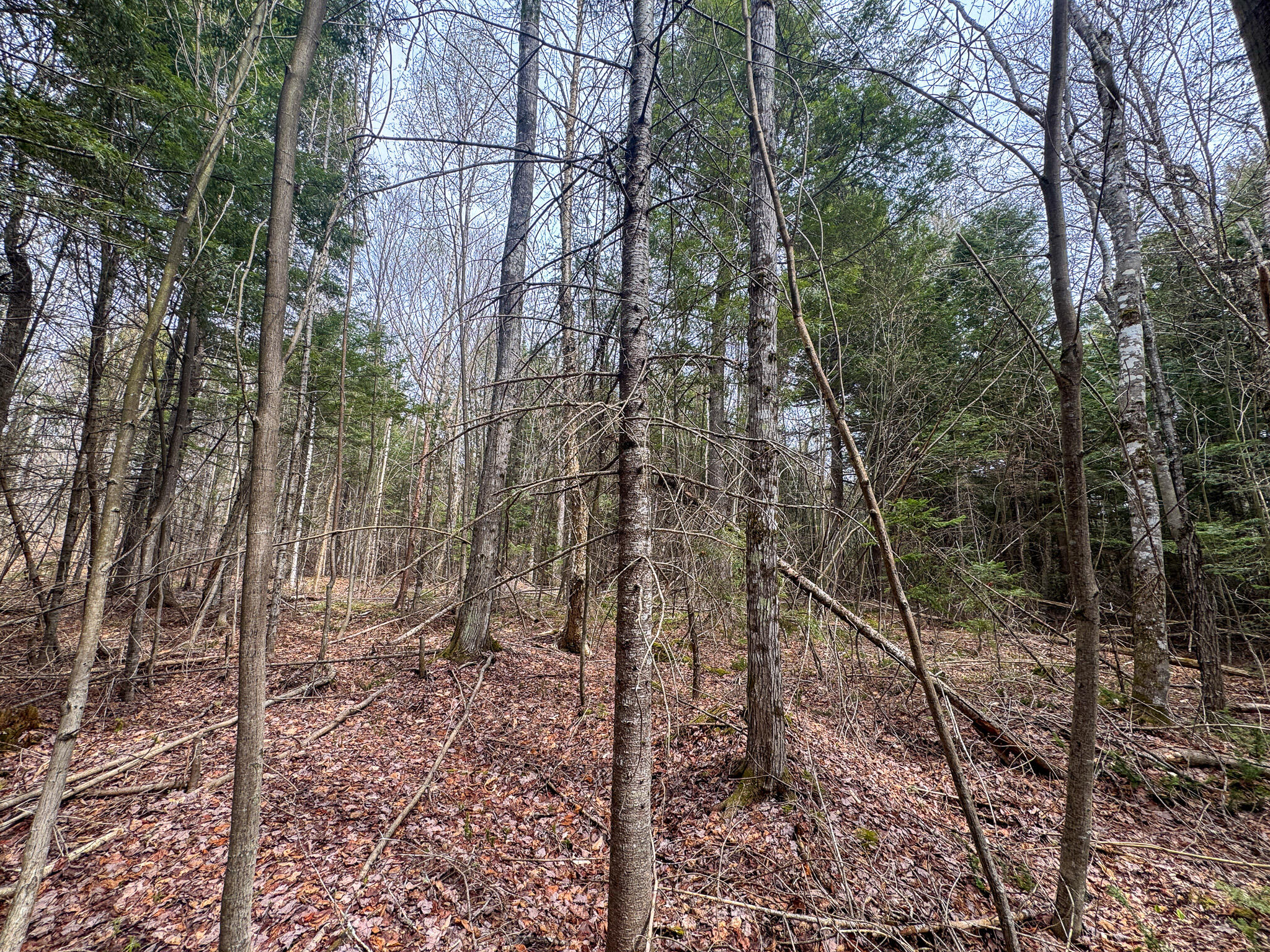 Lot 25 Woodland Ridge Road Danforth ME 04424