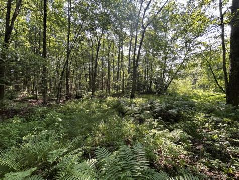 Lot 14c Mechanic Falls Road Poland ME 04274