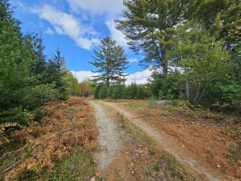 Green Field, Off Georges Pond Road Franklin ME 04634
