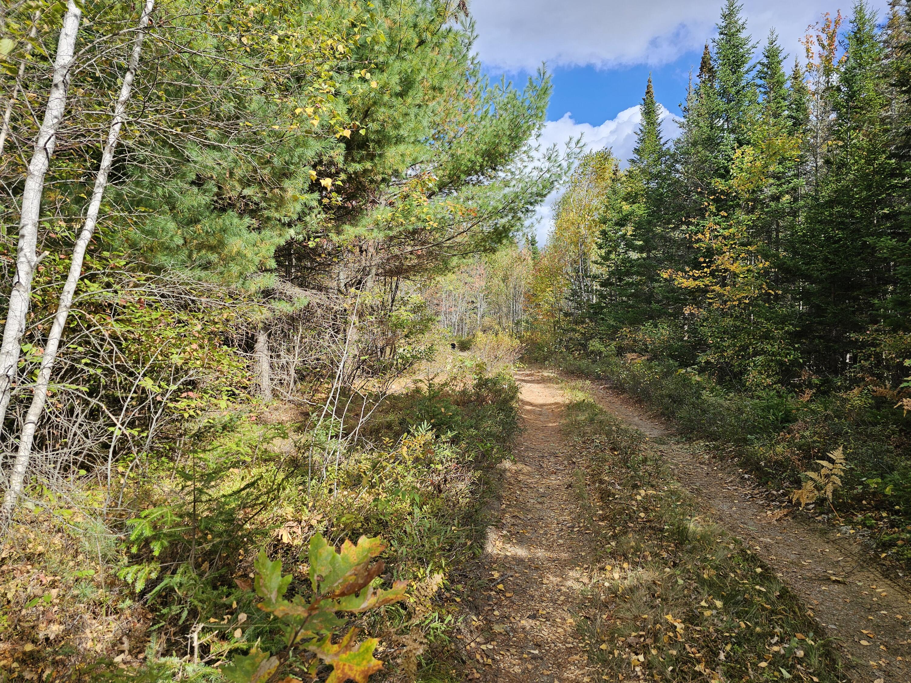 Green Field, Off Georges Pond Road Franklin ME 04634