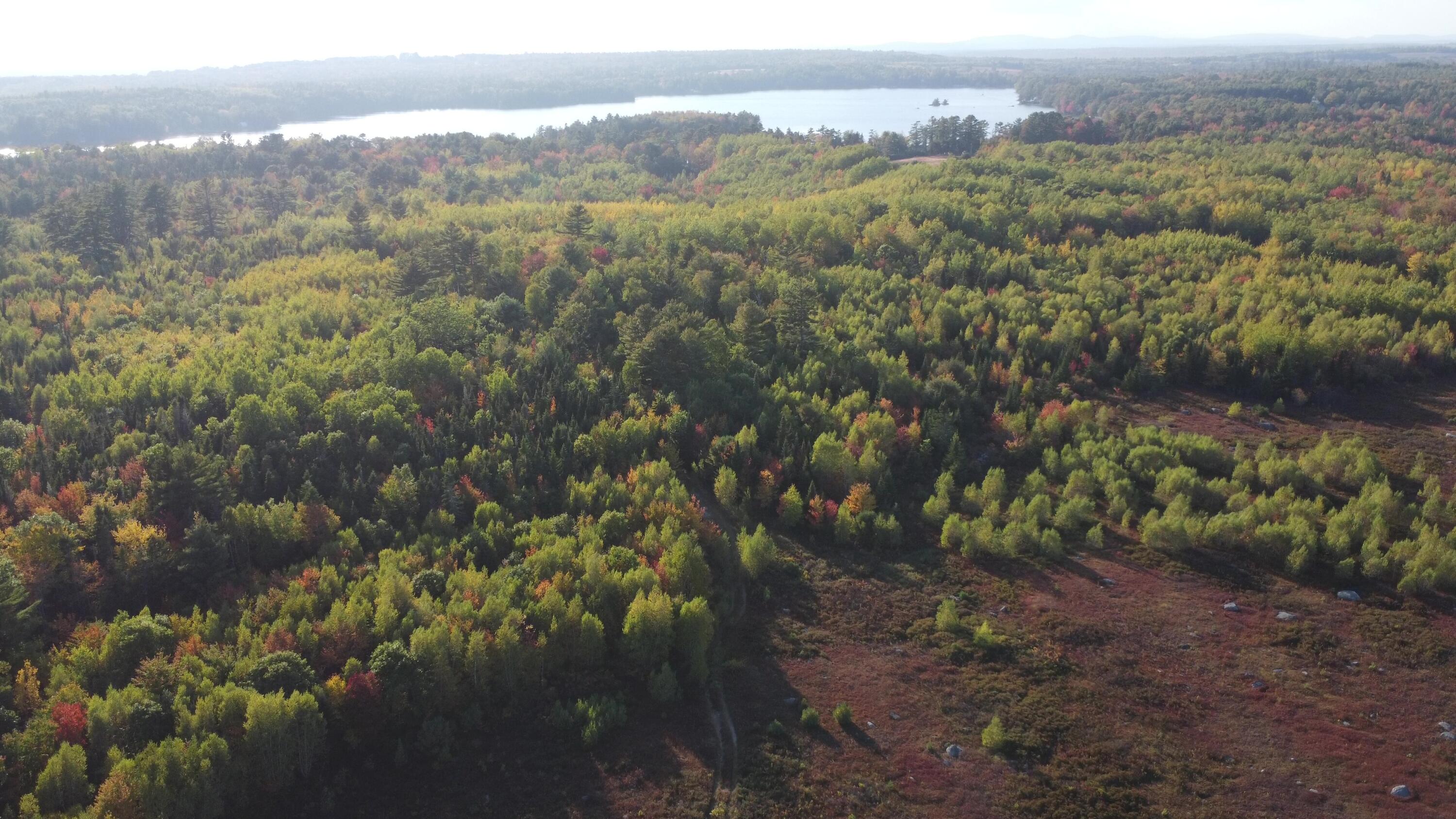 Green Field, Off Georges Pond Road Franklin ME 04634