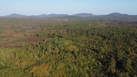 Green Field, Off Georges Pond Road Franklin ME 04634