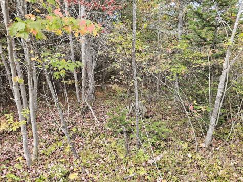 Green Field, Off Georges Pond Road Franklin ME 04634