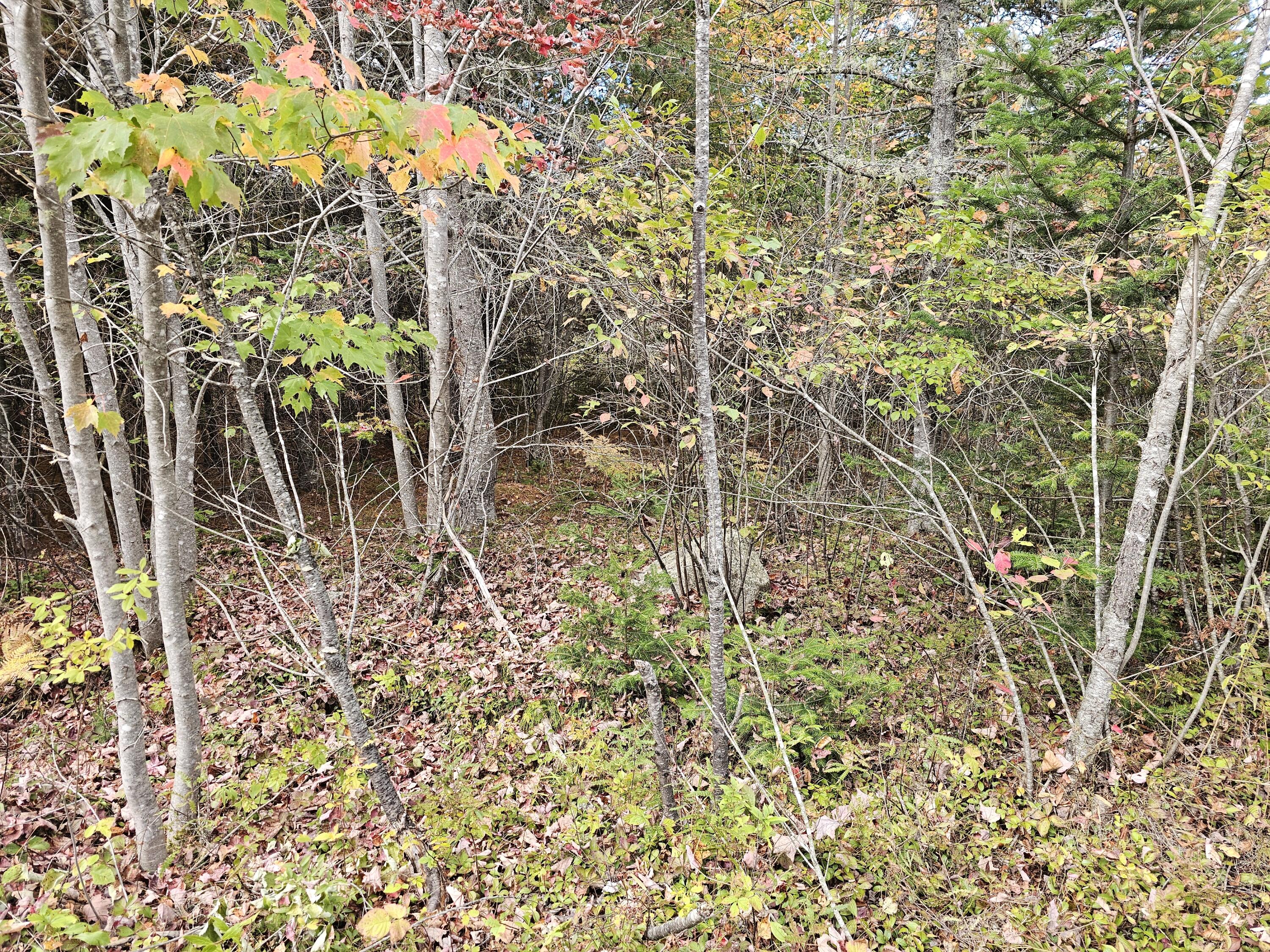 Green Field, Off Georges Pond Road Franklin ME 04634