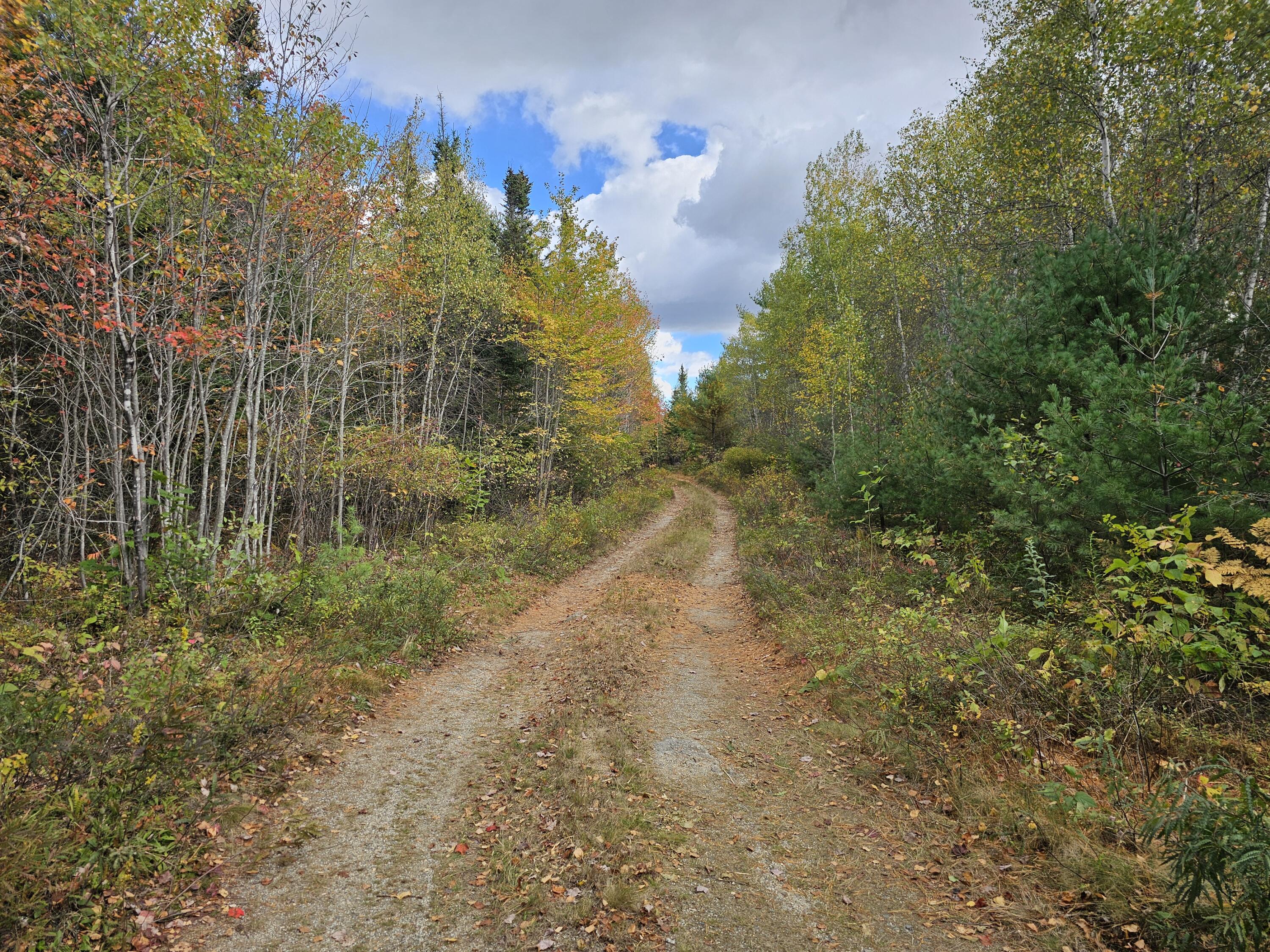 Green Field, Off Georges Pond Road Franklin ME 04634