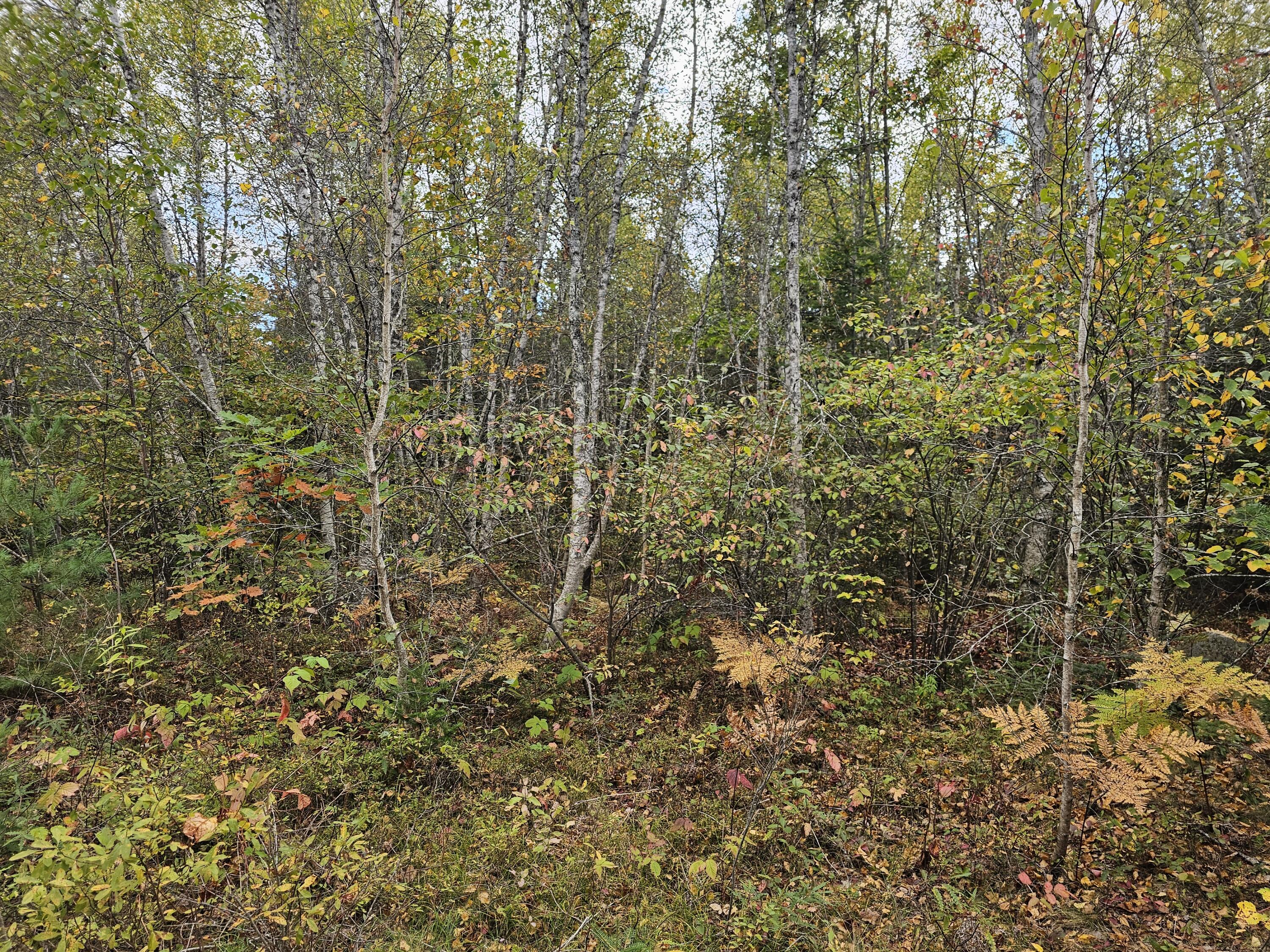Green Field, Off Georges Pond Road Franklin ME 04634