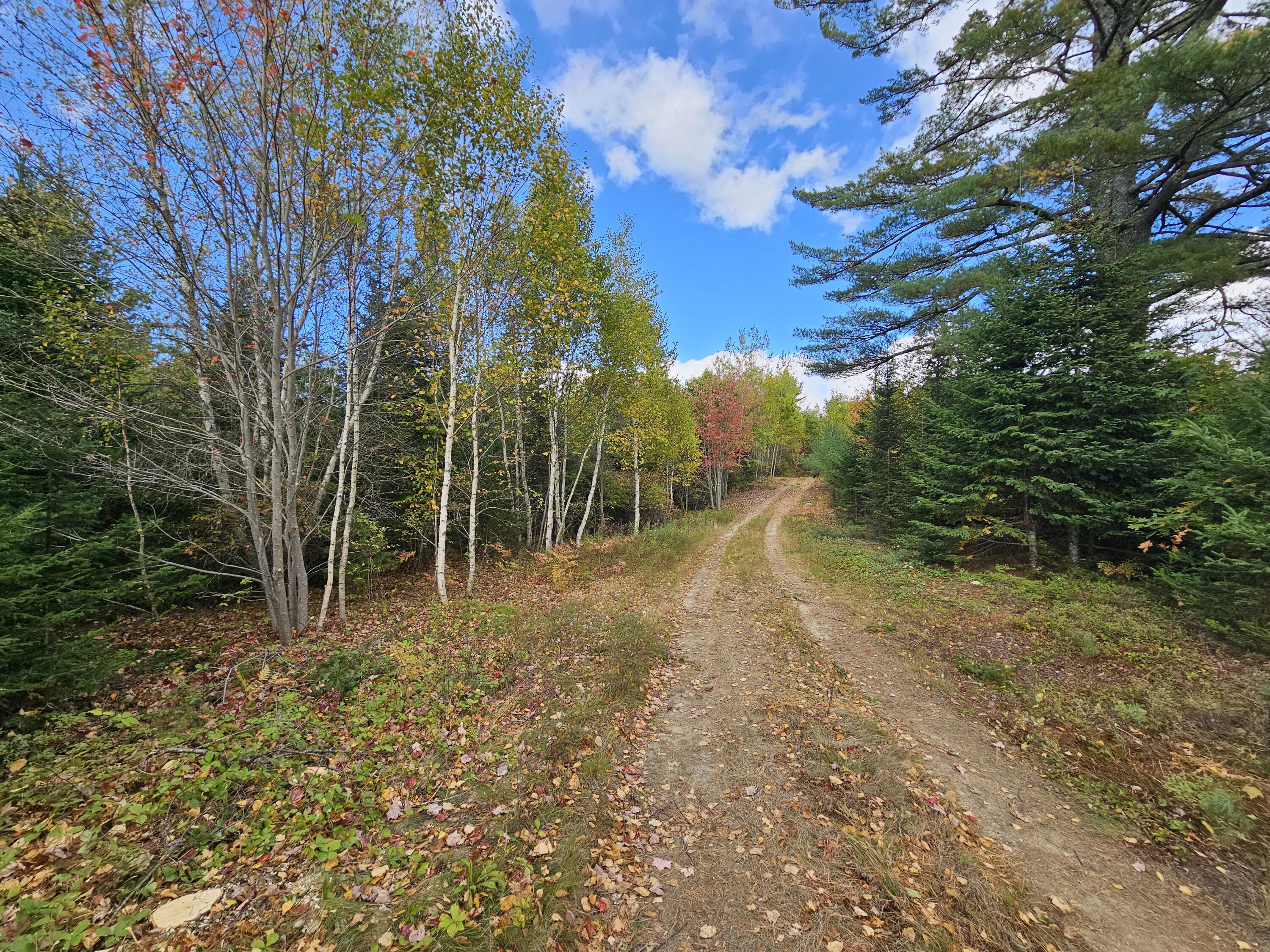 Green Field, Off Georges Pond Road Franklin ME 04634