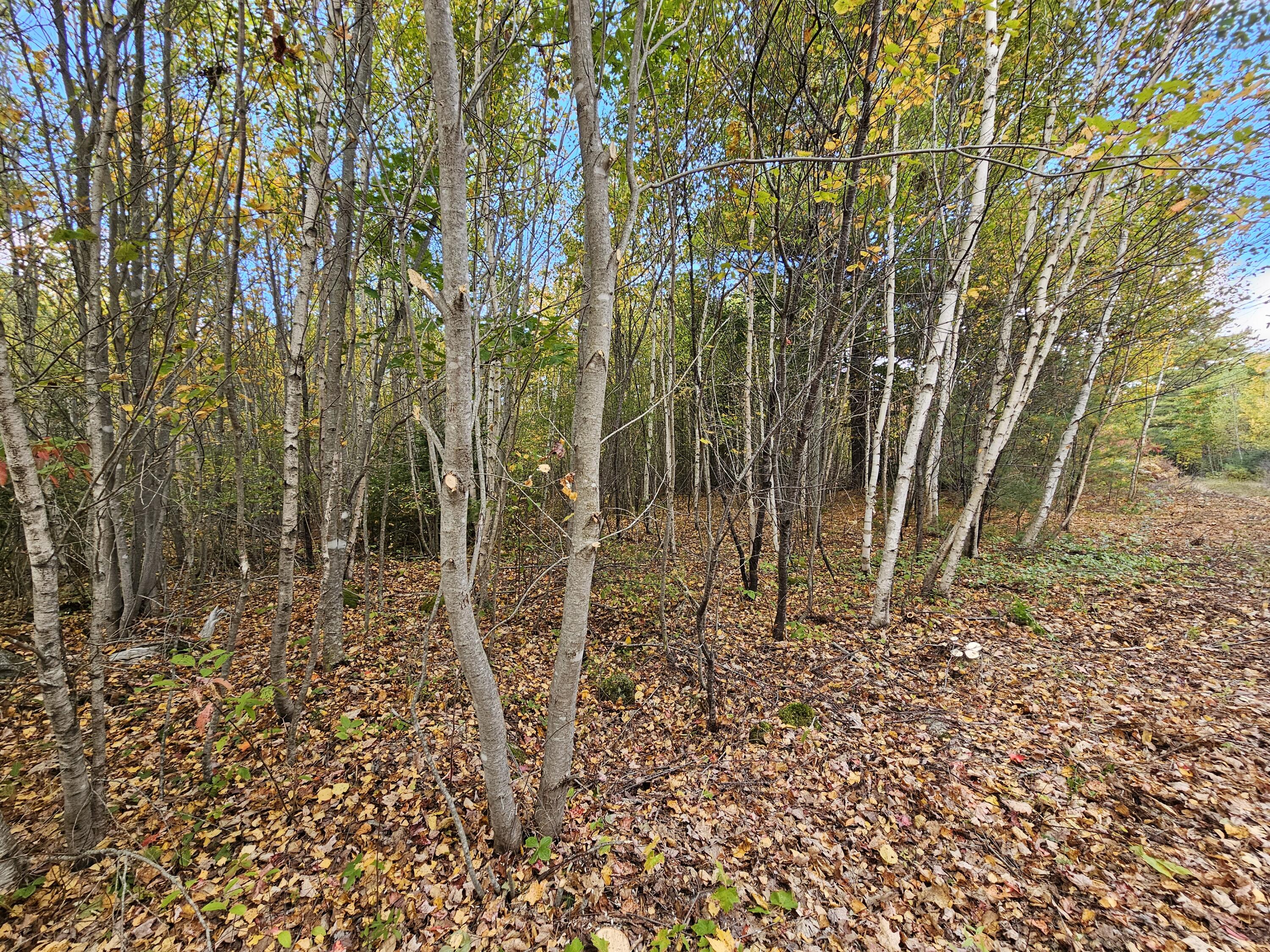 Green Field, Off Georges Pond Road Franklin ME 04634