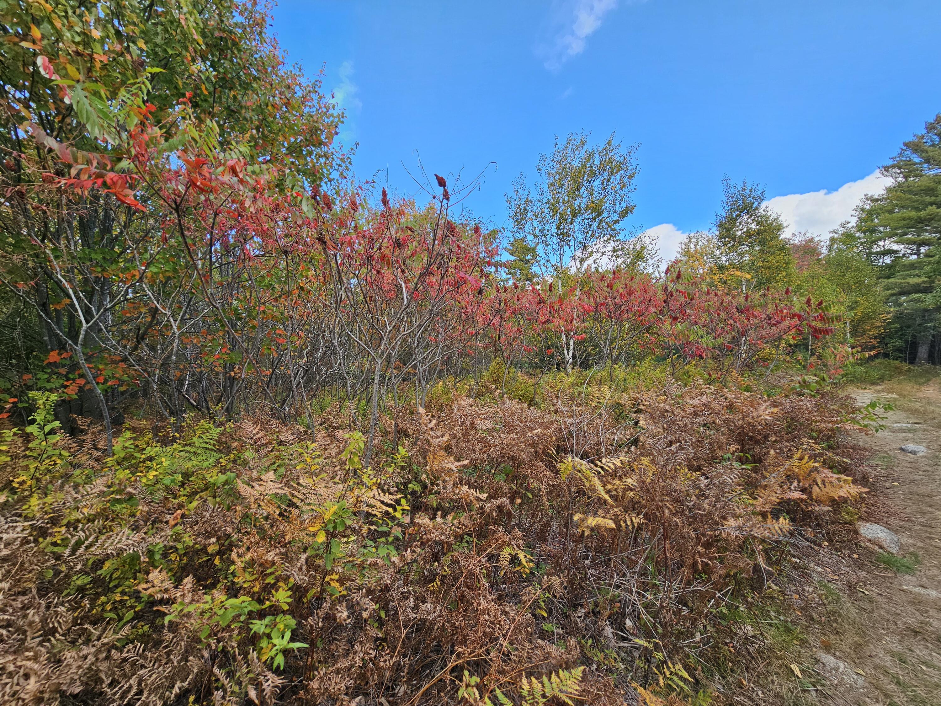 Green Field, Off Georges Pond Road Franklin ME 04634