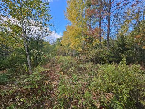 Green Field, Off Georges Pond Road Franklin ME 04634
