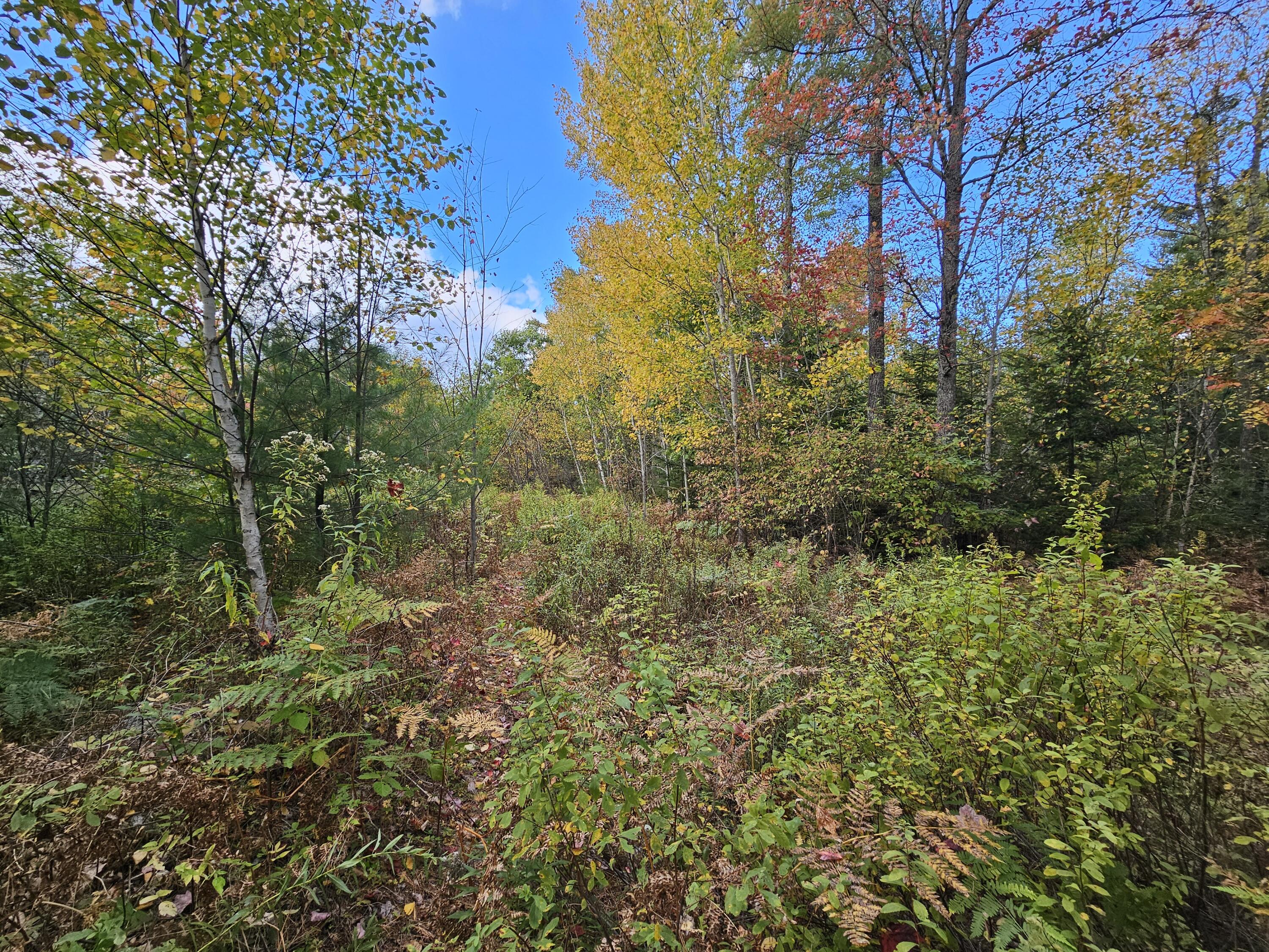 Green Field, Off Georges Pond Road Franklin ME 04634