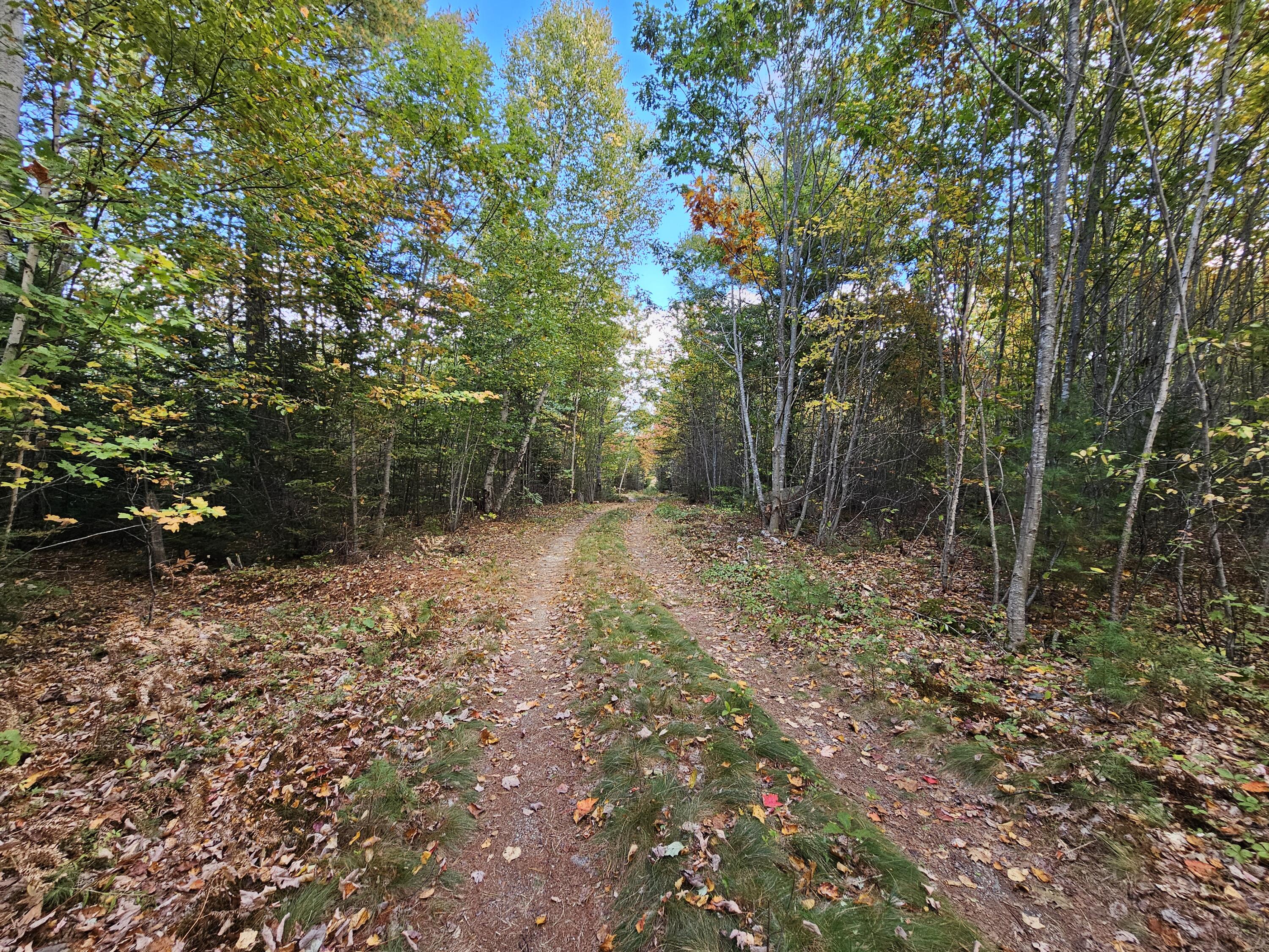 Green Field, Off Georges Pond Road Franklin ME 04634