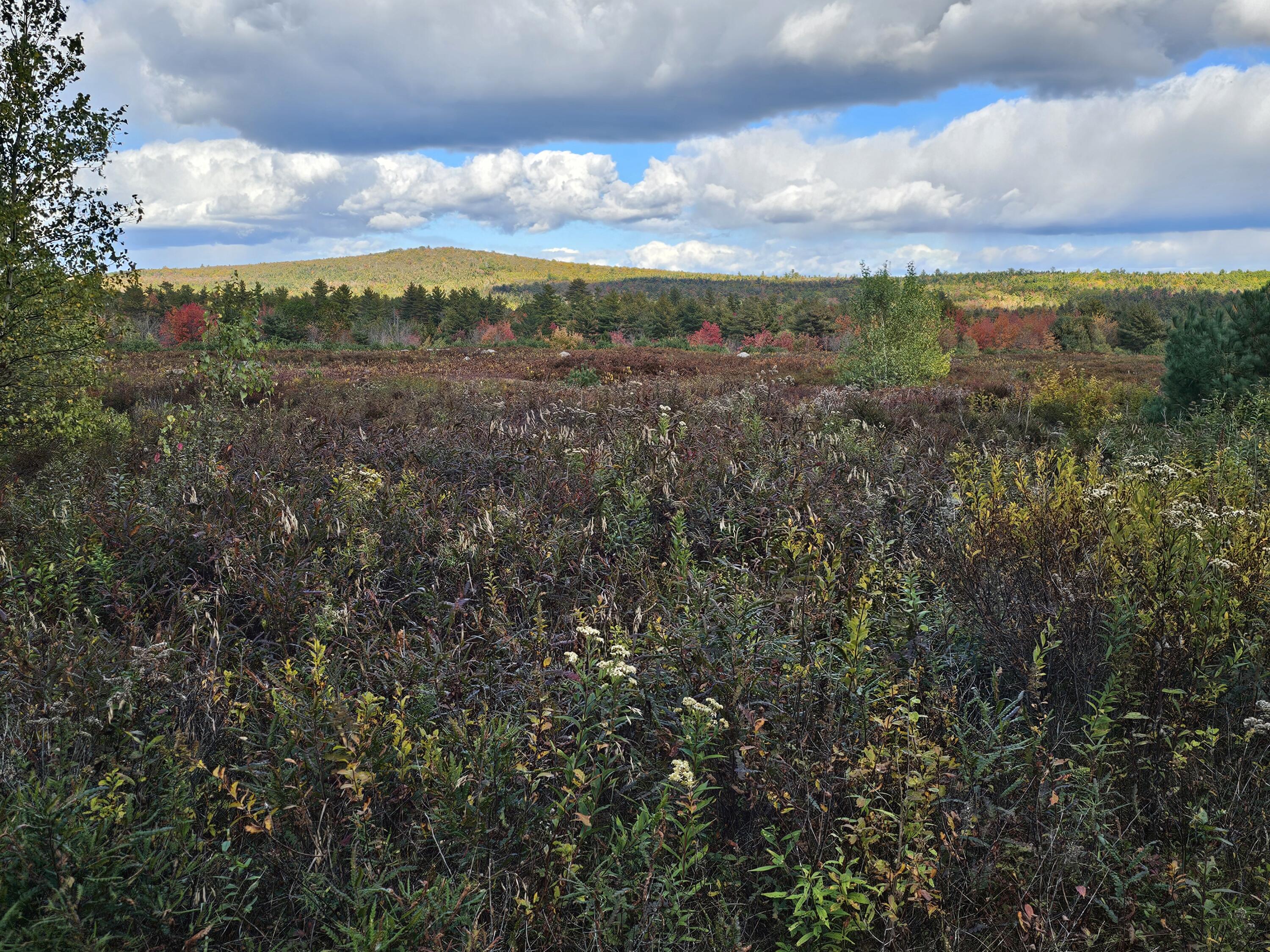 Green Field, Off Georges Pond Road Franklin ME 04634