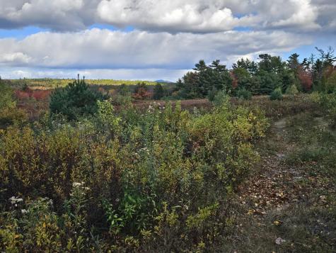 Green Field, Off Georges Pond Road Franklin ME 04634