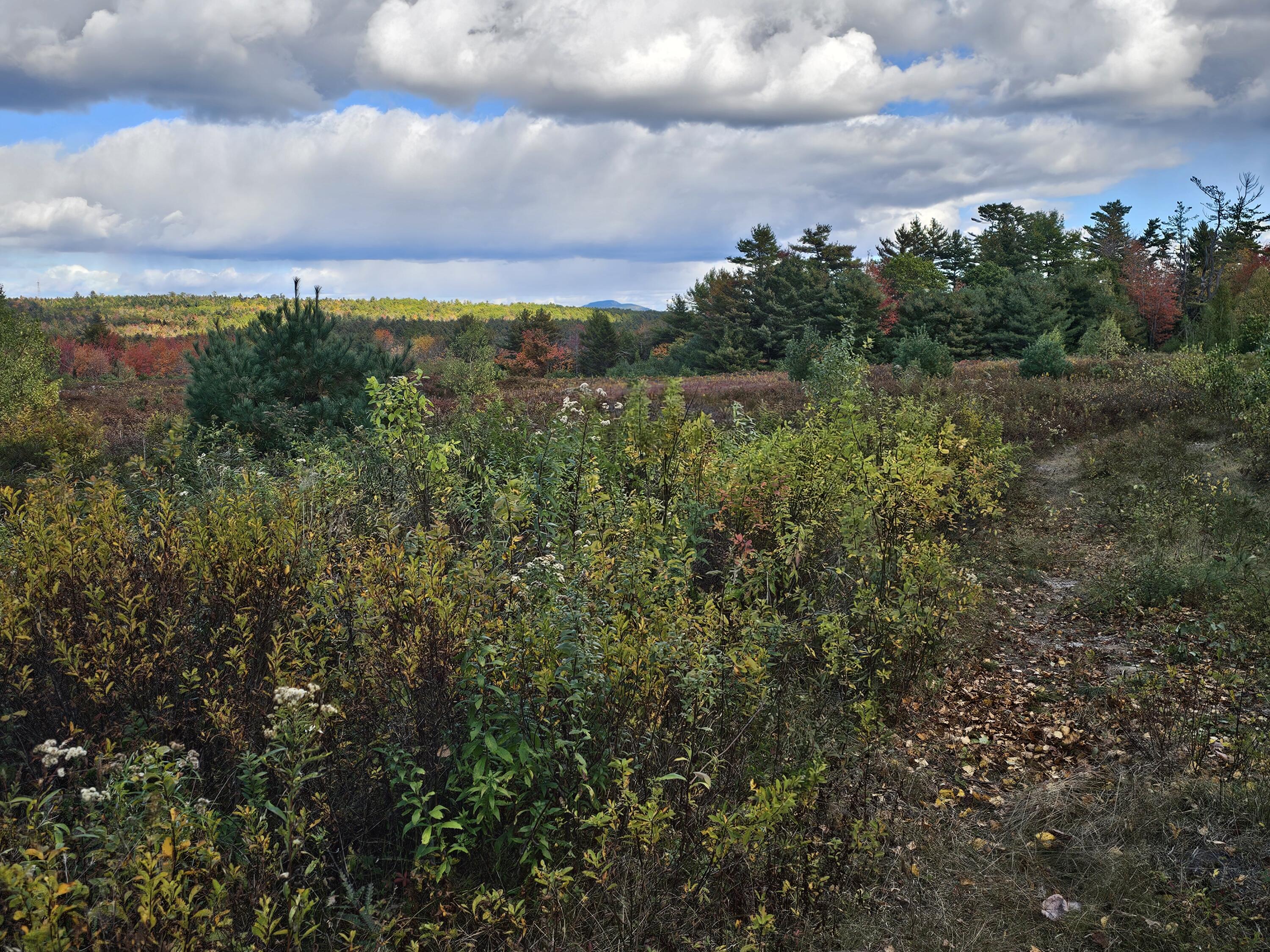 Green Field, Off Georges Pond Road Franklin ME 04634