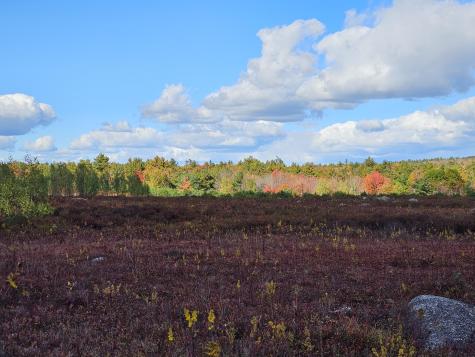 Green Field, Off Georges Pond Road Franklin ME 04634