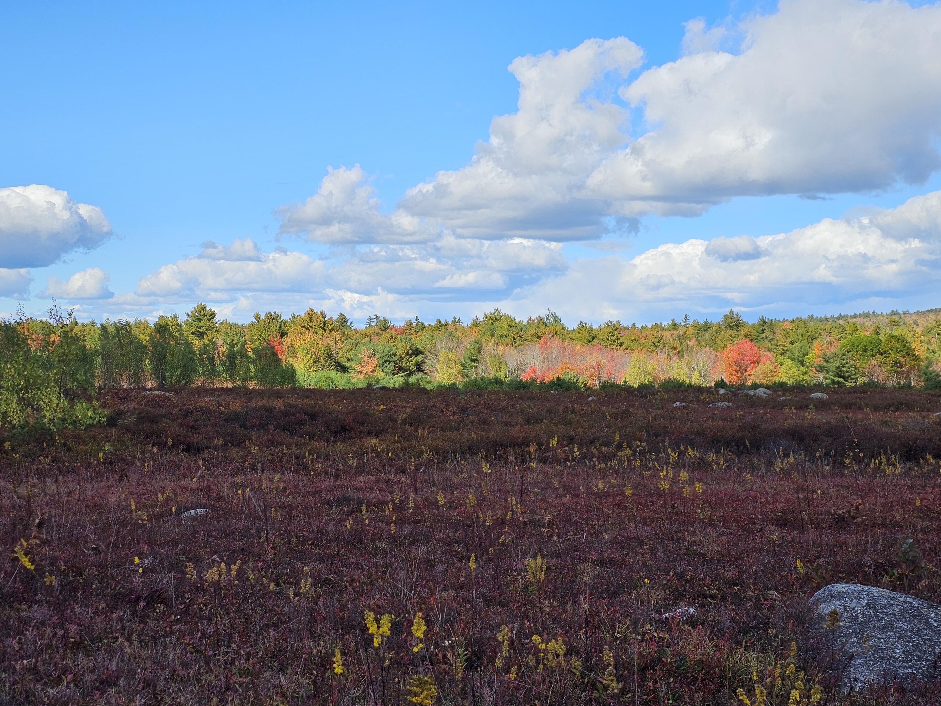 Green Field, Off Georges Pond Road Franklin ME 04634