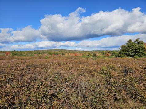 Green Field, Off Georges Pond Road Franklin ME 04634