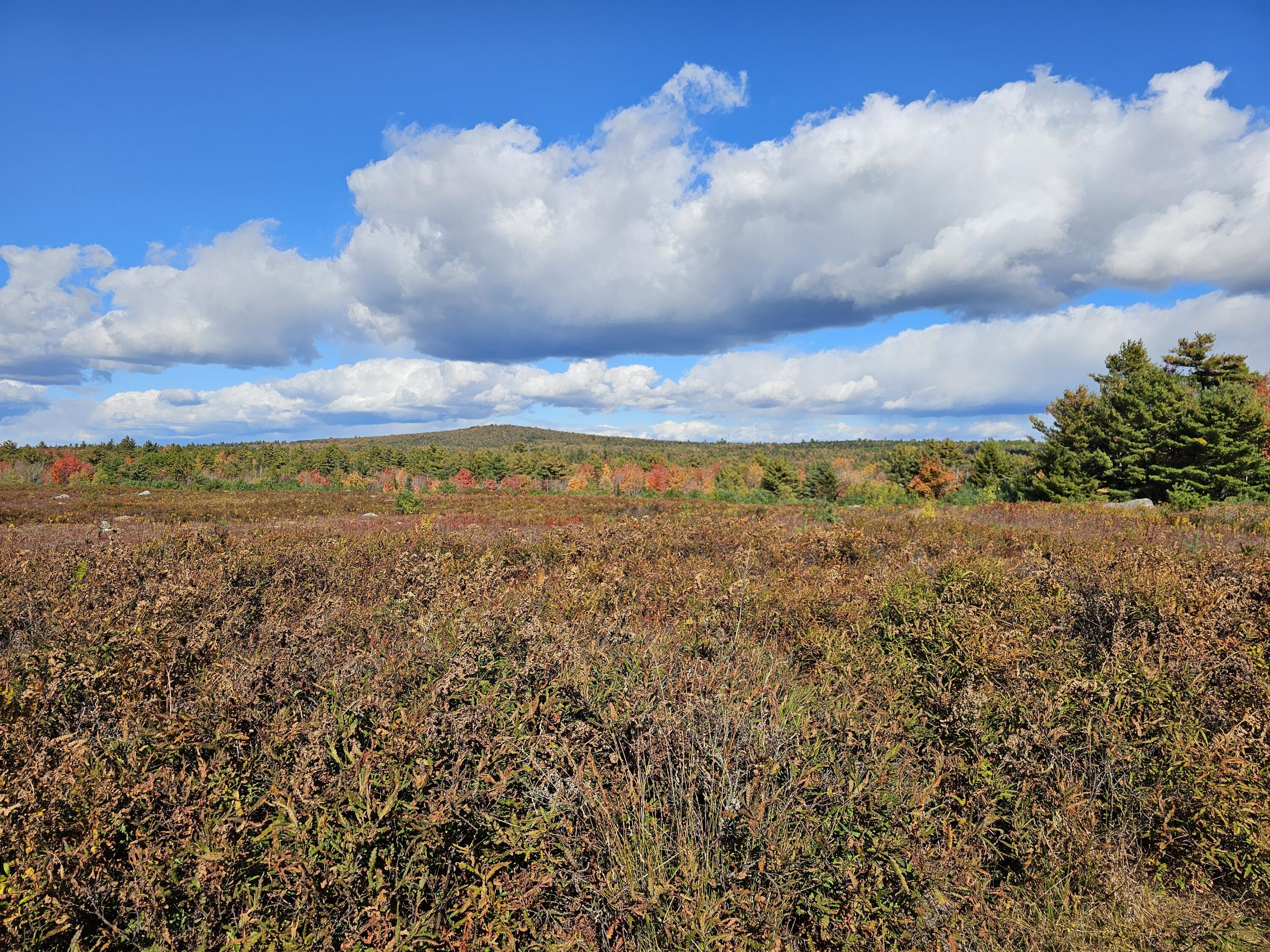 Green Field, Off Georges Pond Road Franklin ME 04634