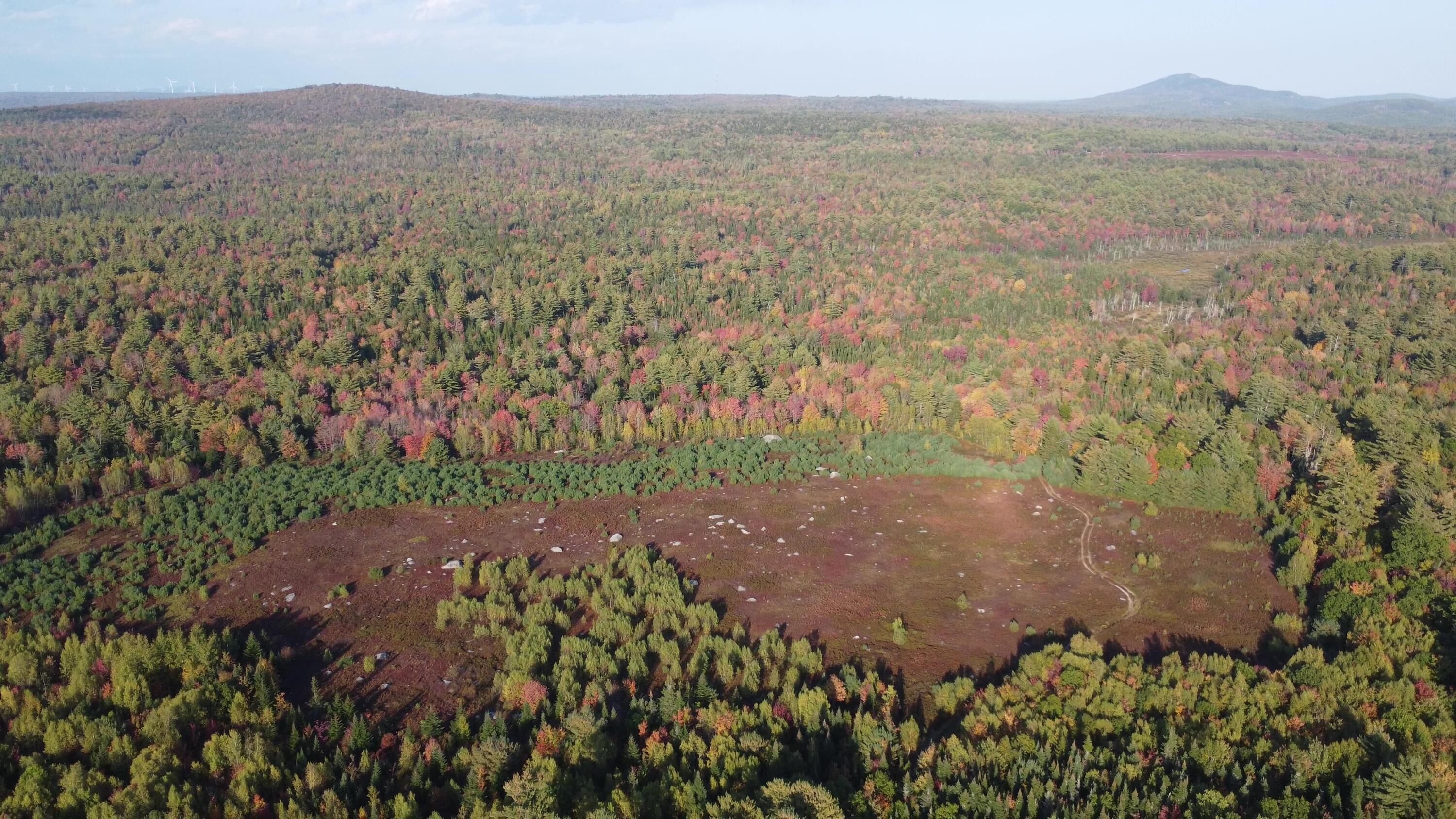 Green Field, Off Georges Pond Road Franklin ME 04634